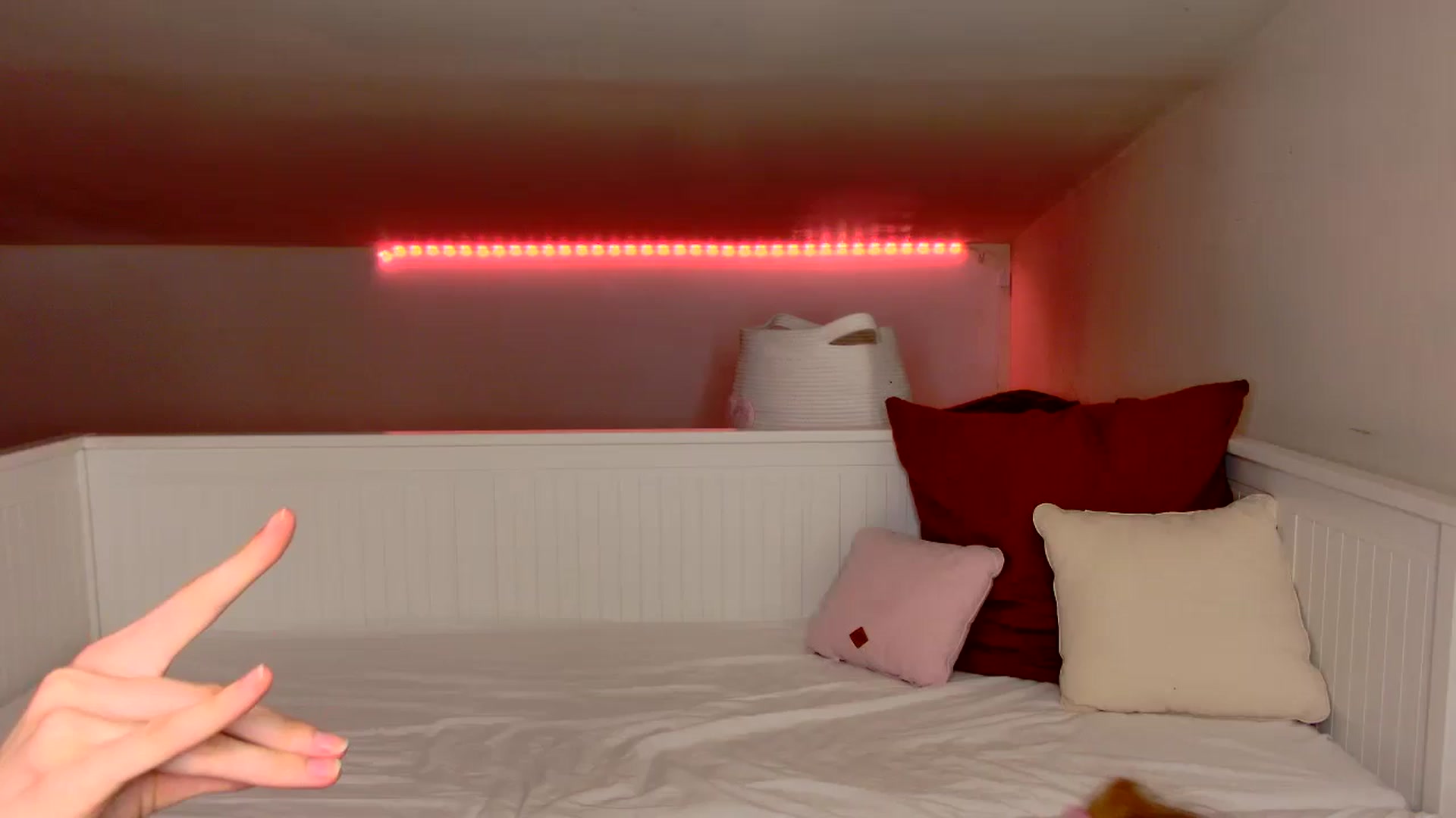 Gallery image thumbnail from Kinkywander's myfreecams stream on, 08/25/2024, 20:24 image 16 of 20