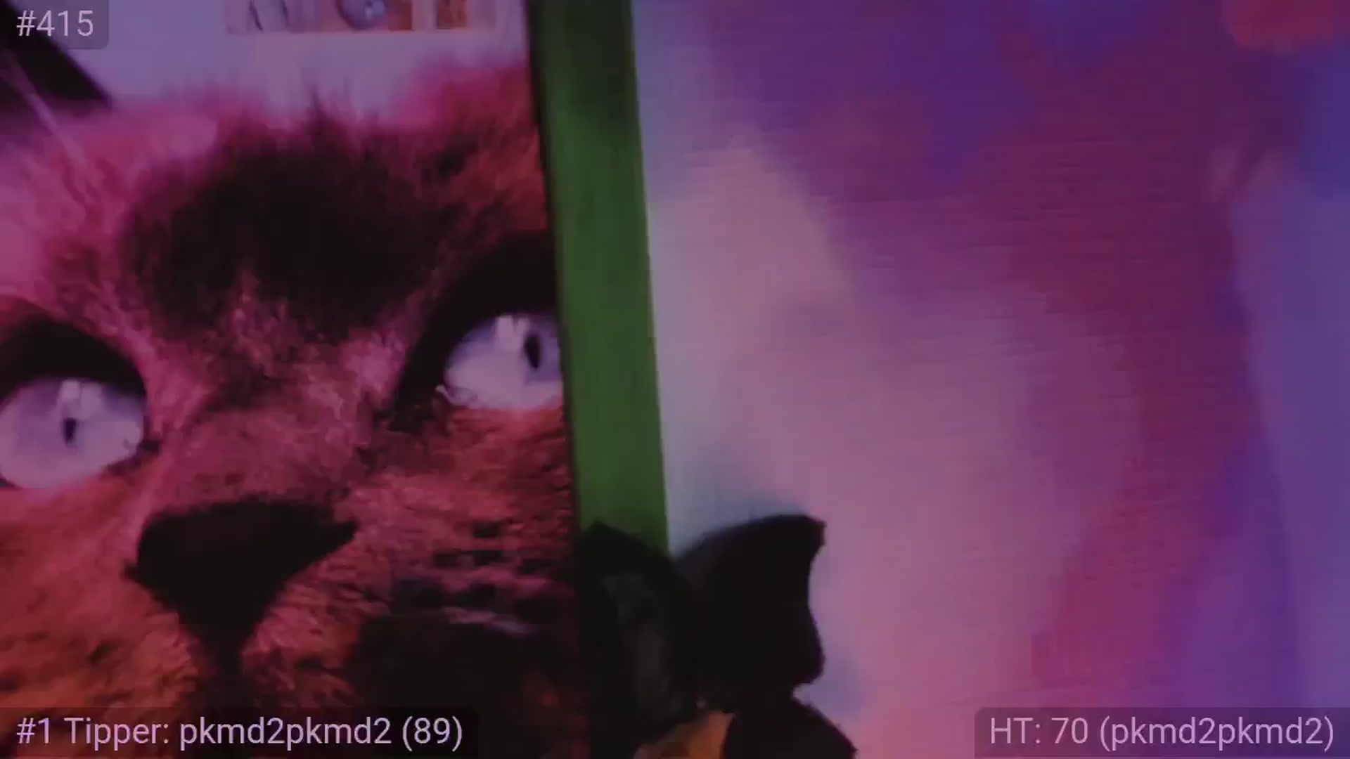 Gallery image thumbnail from KipaHimari's myfreecams stream on, 06/13/2024, 02:35 image 11 of 20