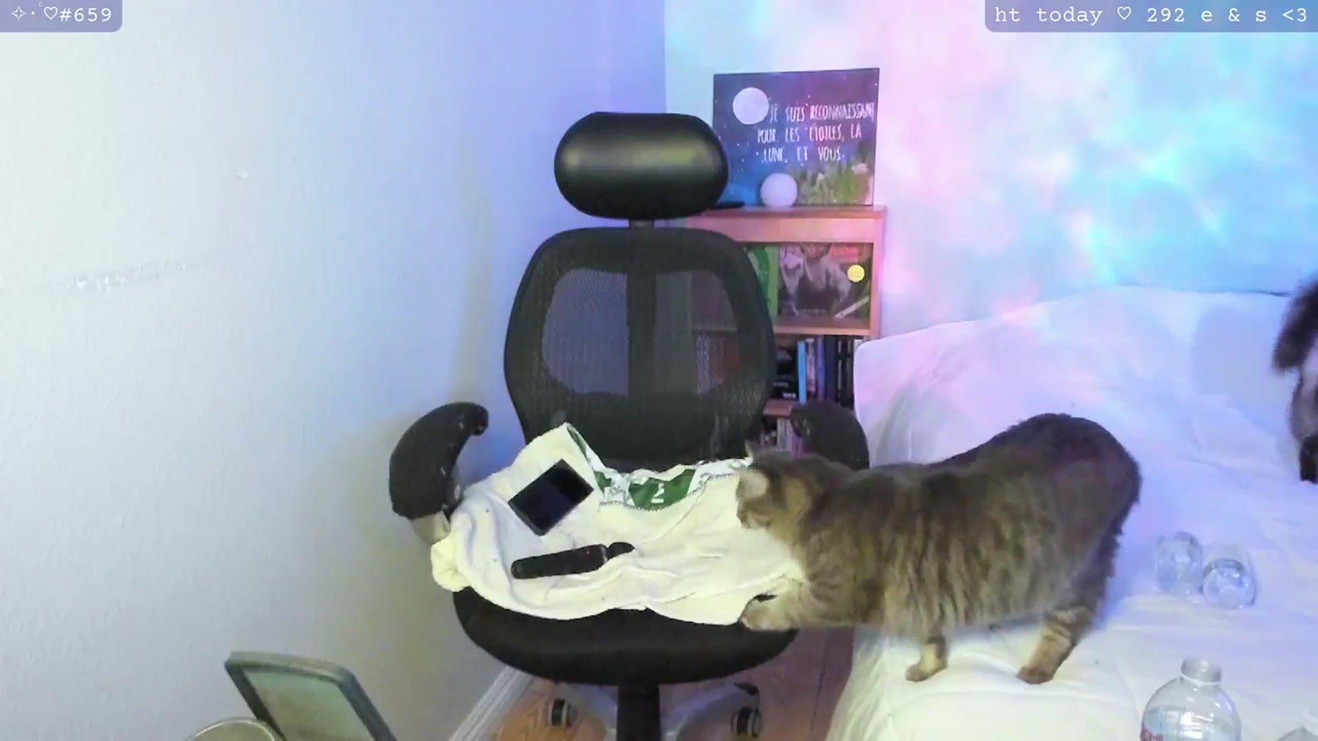 Gallery image thumbnail from Kirby's myfreecams stream on, 02/18/2024, 02:45 image 19 of 20