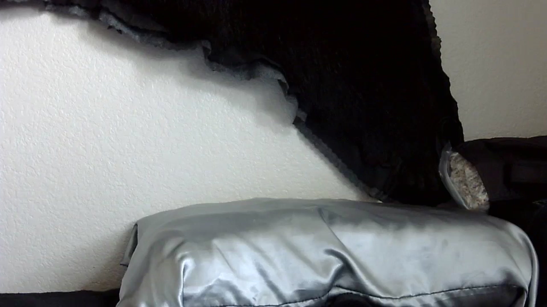 Gallery image thumbnail from KirbyCutie's myfreecams stream on, 03/14/2024, 18:39 image 2 of 20