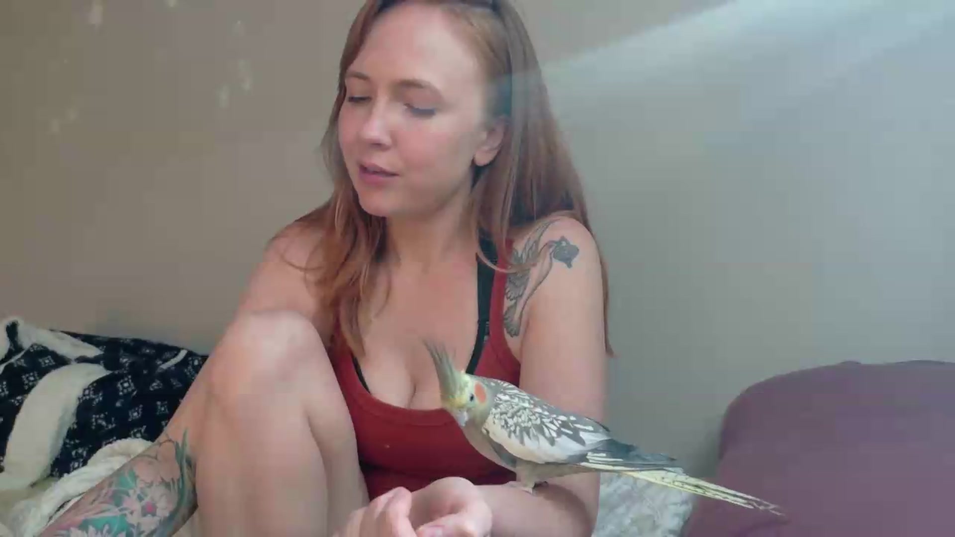 Gallery image thumbnail from KirbyCutie's myfreecams stream on, 06/08/2026, 23:57 image 5 of 20