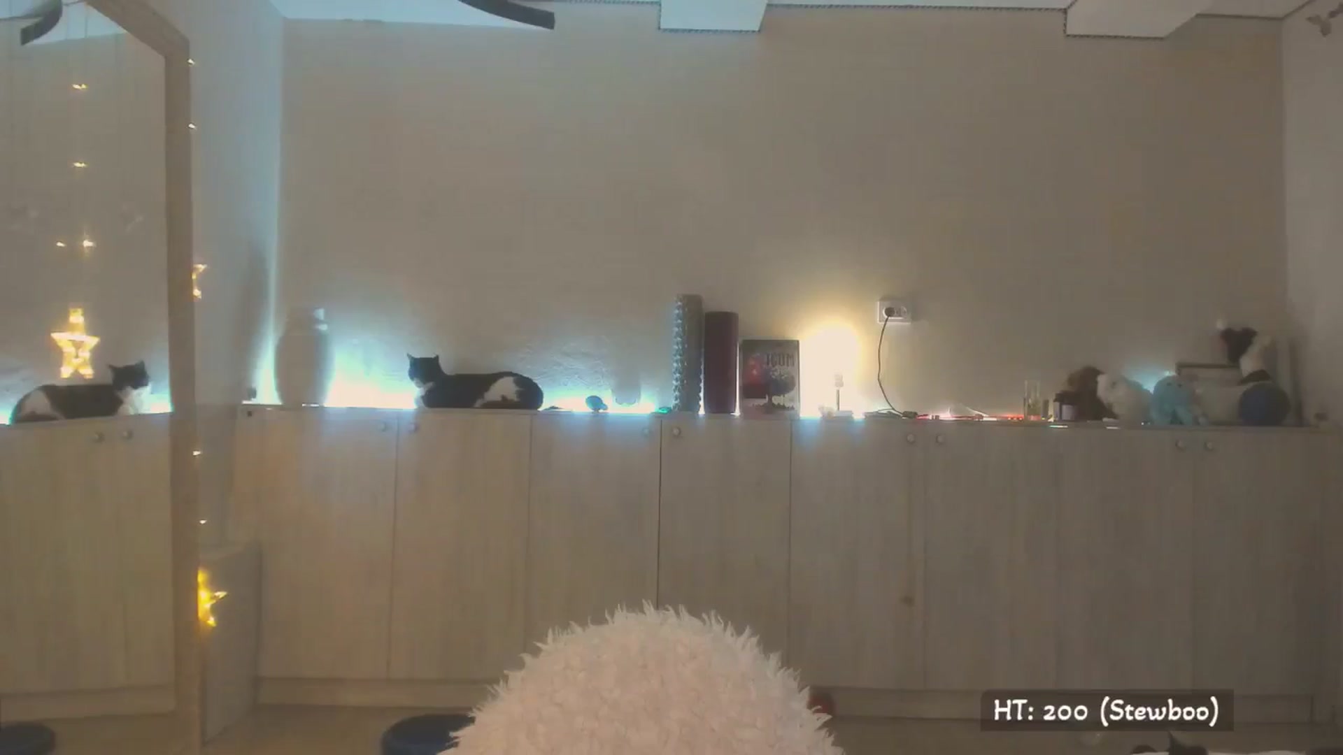 Gallery image thumbnail from KissMyEyess's myfreecams stream on, 07/07/2025, 01:35 image 12 of 20