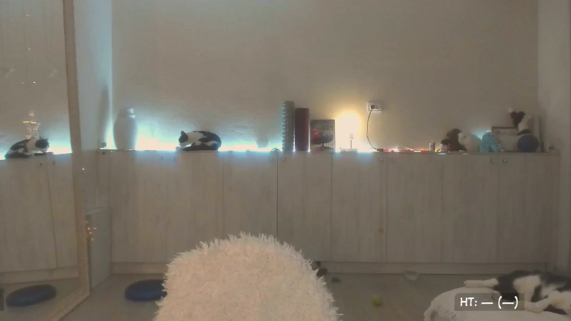 Gallery image thumbnail from KissMyEyess's myfreecams stream on, 07/10/2025, 01:41 image 3 of 20