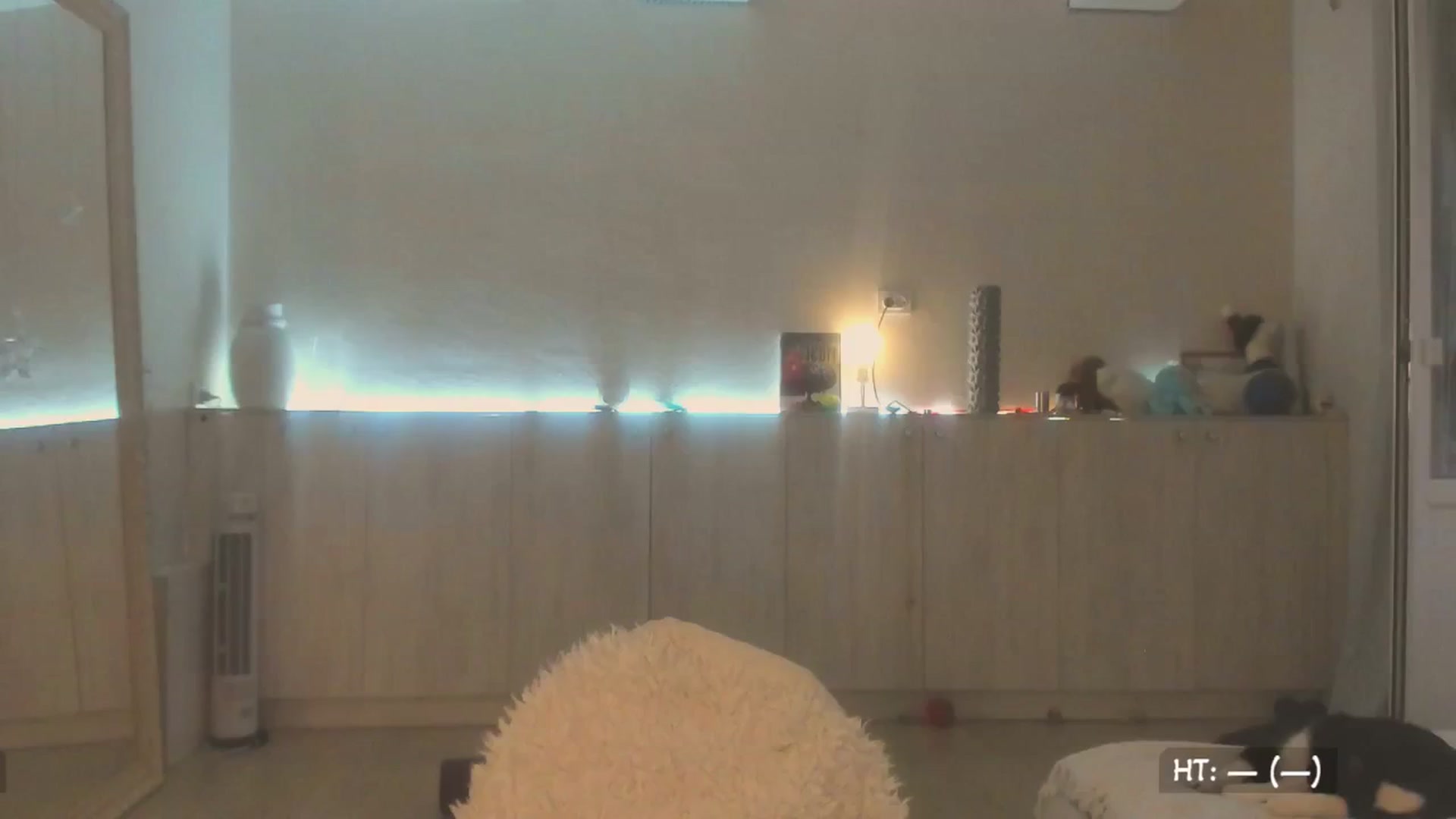 Gallery image thumbnail from KissMyEyess's myfreecams stream on, 07/15/2025, 02:28 image 8 of 20