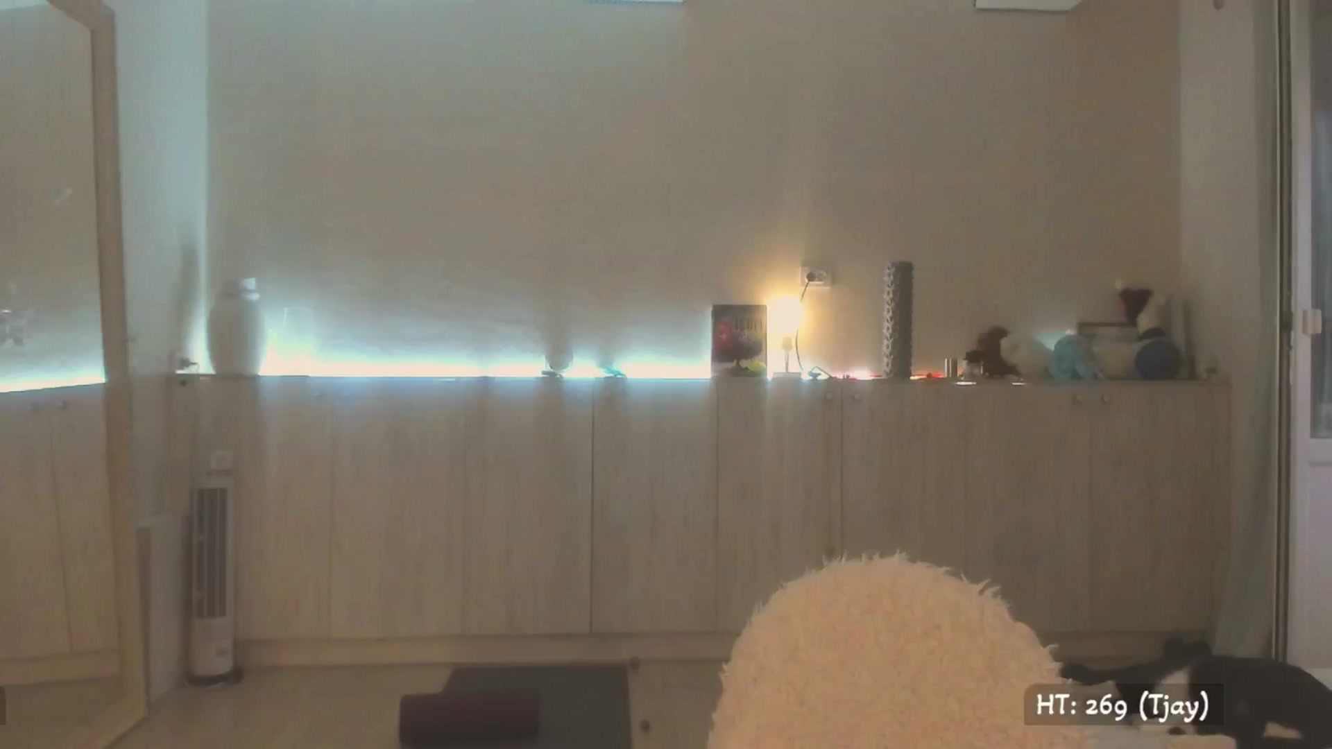 Gallery image thumbnail from KissMyEyess's myfreecams stream on, 07/15/2025, 02:28 image 10 of 20
