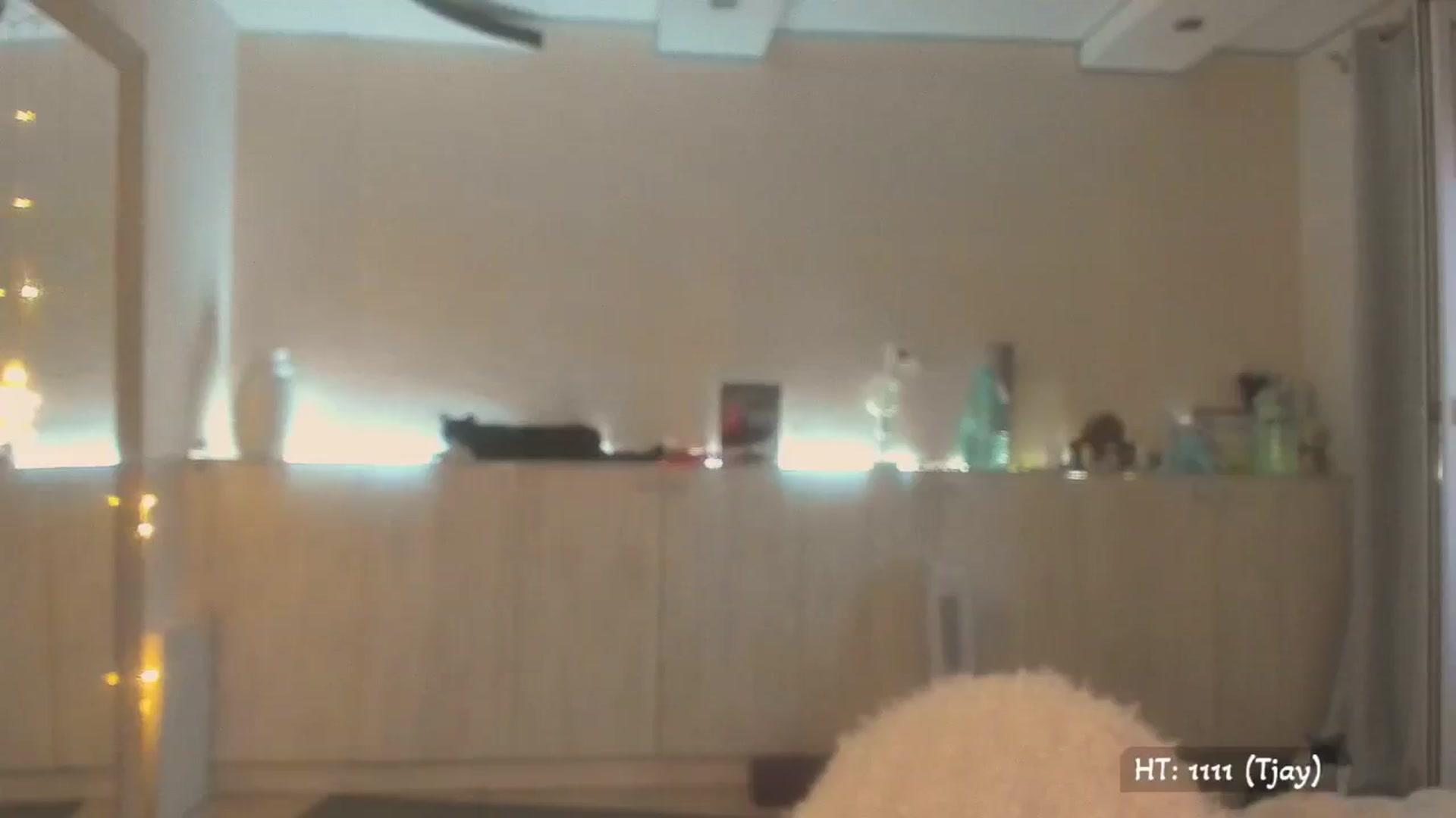 Gallery image thumbnail from KissMyEyess's myfreecams stream on, 07/27/2025, 02:21 image 12 of 20