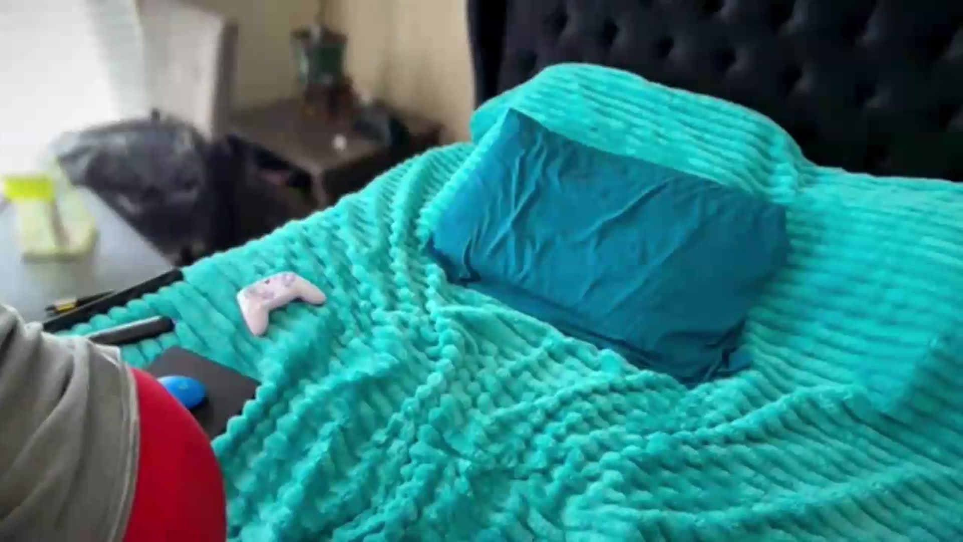 Gallery image thumbnail from KissMyTulips's myfreecams stream on, 07/15/2026, 14:25 image 5 of 20