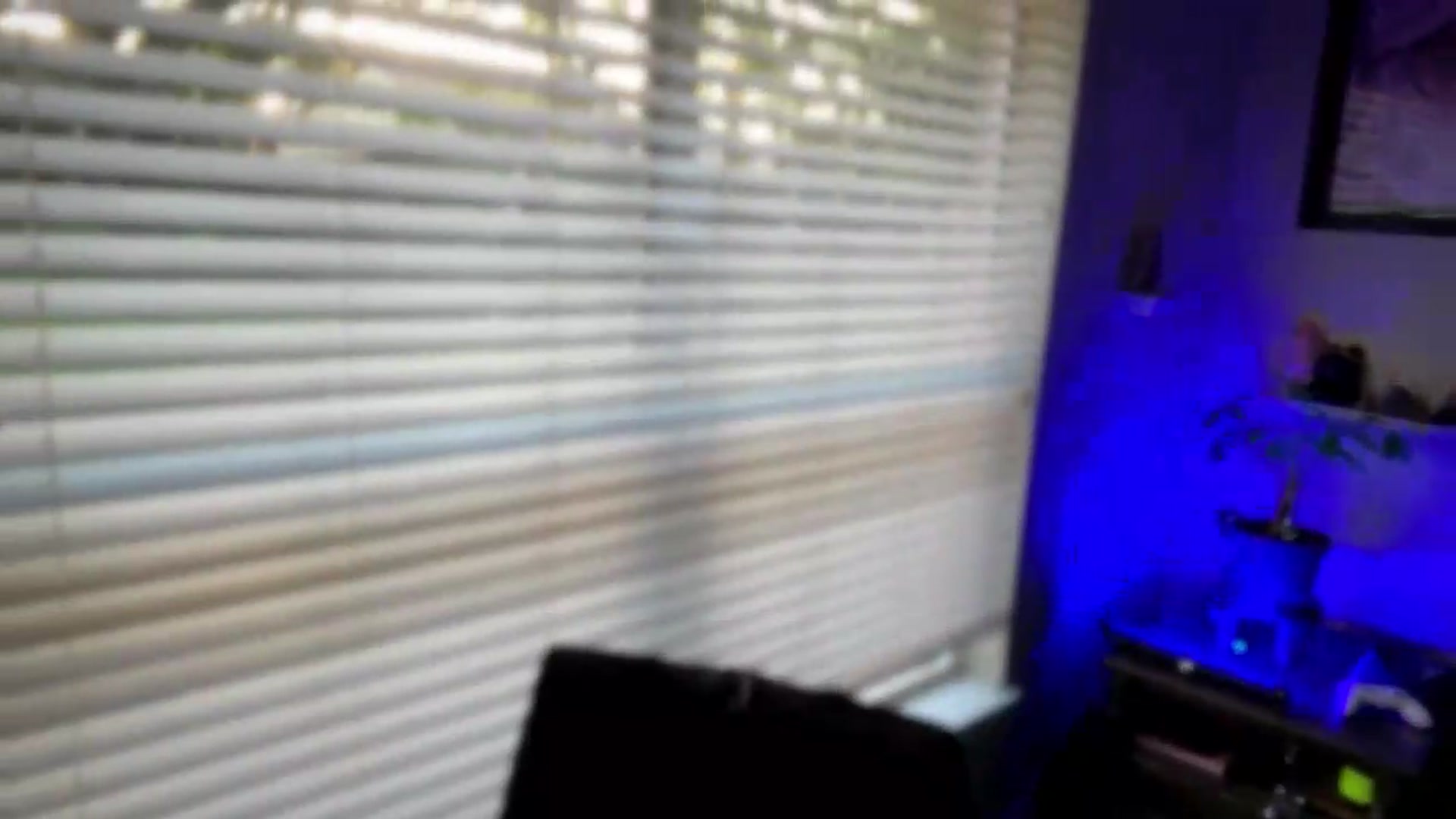 Gallery image thumbnail from KissMyTulips's myfreecams stream on, 07/16/2026, 11:20 image 2 of 20