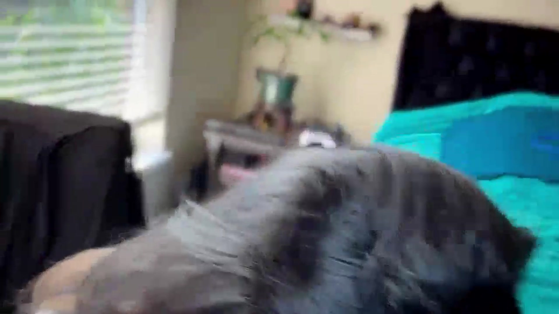 Gallery image thumbnail from KissMyTulips's myfreecams stream on, 07/16/2026, 14:05 image 16 of 20