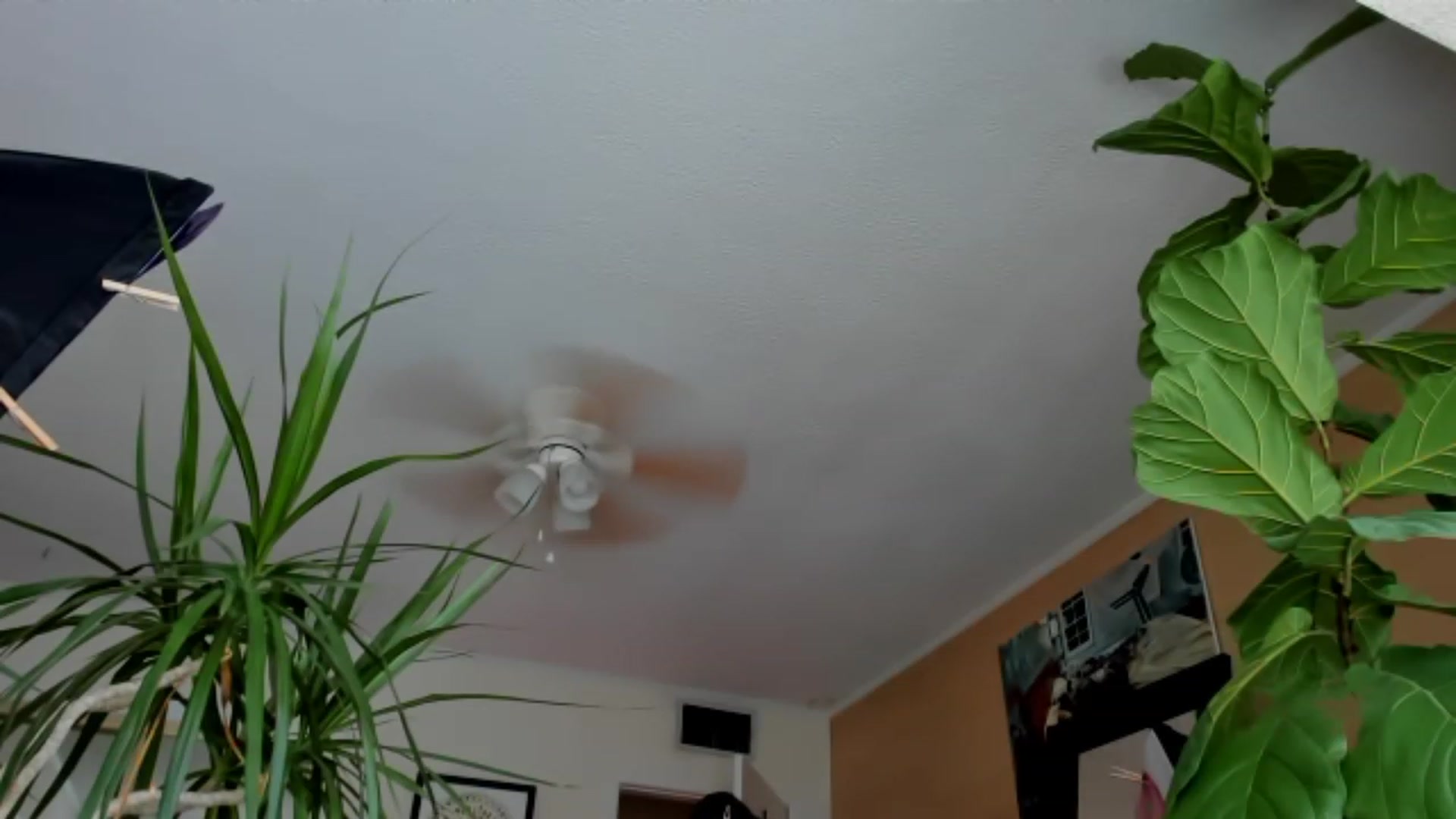 Gallery image thumbnail from KissingHigh's myfreecams stream on, 06/18/2023, 18:56 image 16 of 20