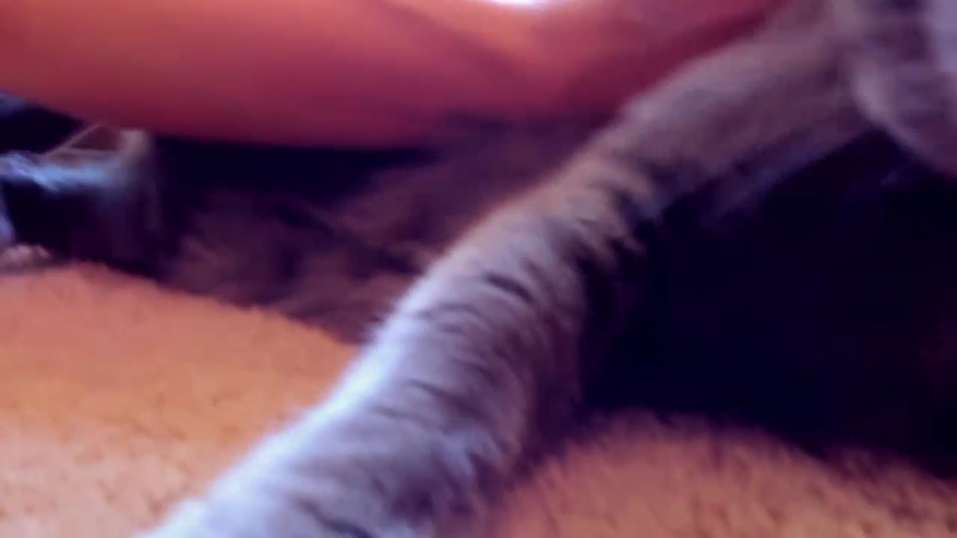 Gallery image thumbnail from KissingHigh's myfreecams stream on, 07/16/2023, 18:18 image 20 of 20
