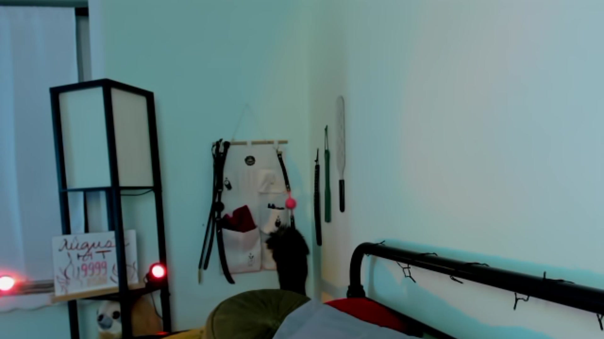 Gallery image thumbnail from KissingHigh's myfreecams stream on, 08/11/2023, 04:12 image 18 of 20