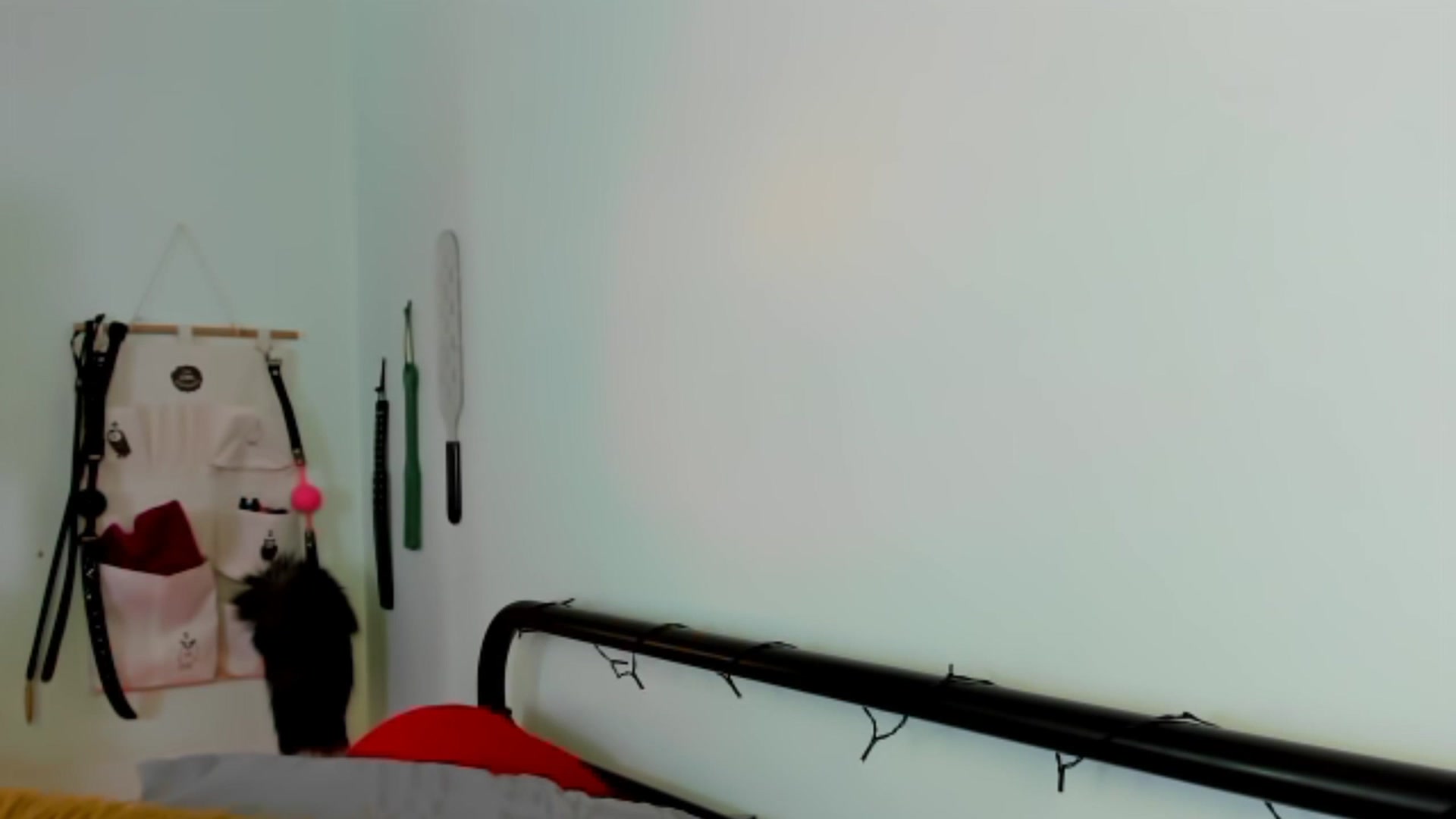 Gallery image thumbnail from KissingHigh's myfreecams stream on, 08/13/2023, 03:00 image 4 of 20