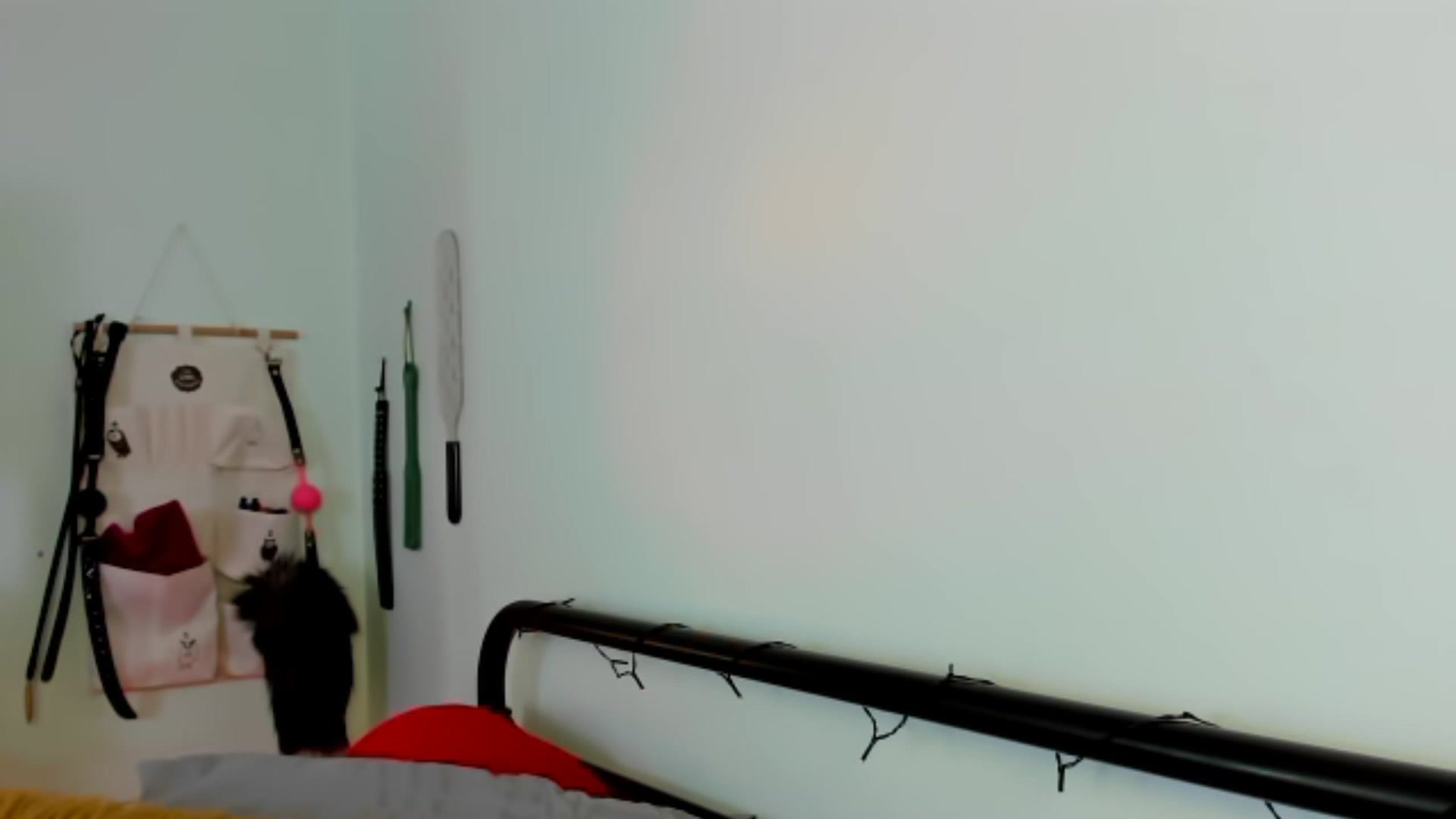 Gallery image thumbnail from KissingHigh's myfreecams stream on, 08/13/2023, 03:00 image 3 of 20