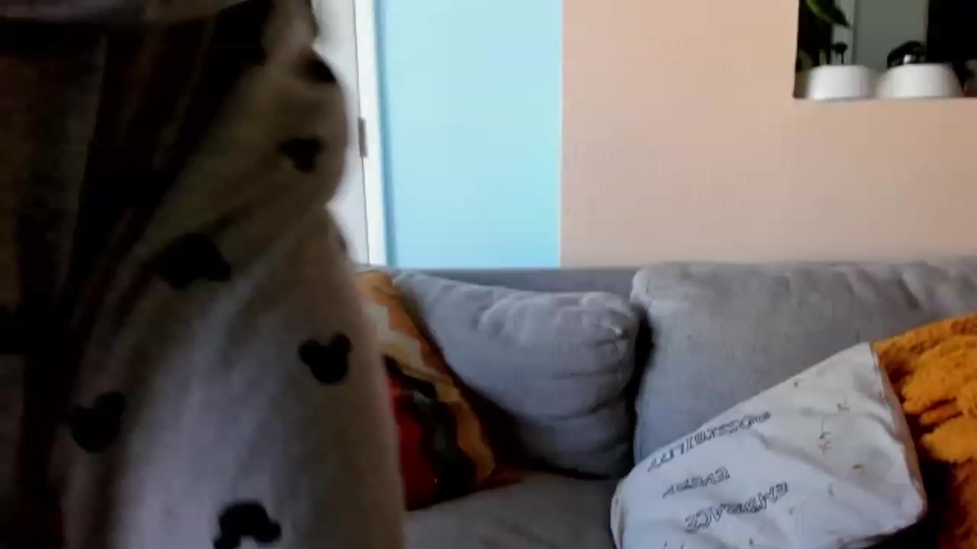 Gallery image thumbnail from KissingHigh's myfreecams stream on, 10/29/2023, 17:16 image 20 of 20