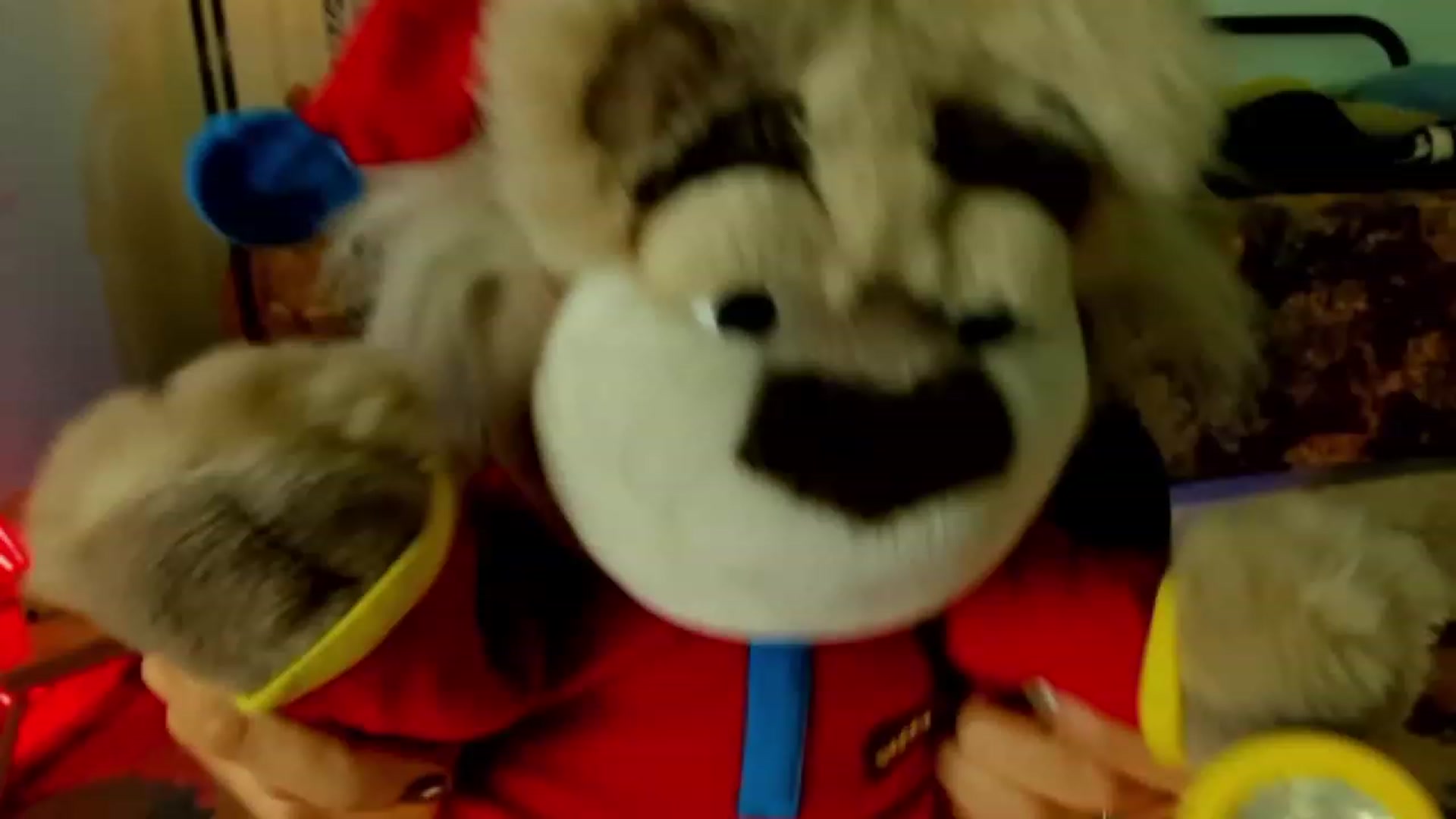 Gallery image thumbnail from KissingHigh's myfreecams stream on, 11/14/2023, 06:43 image 14 of 20