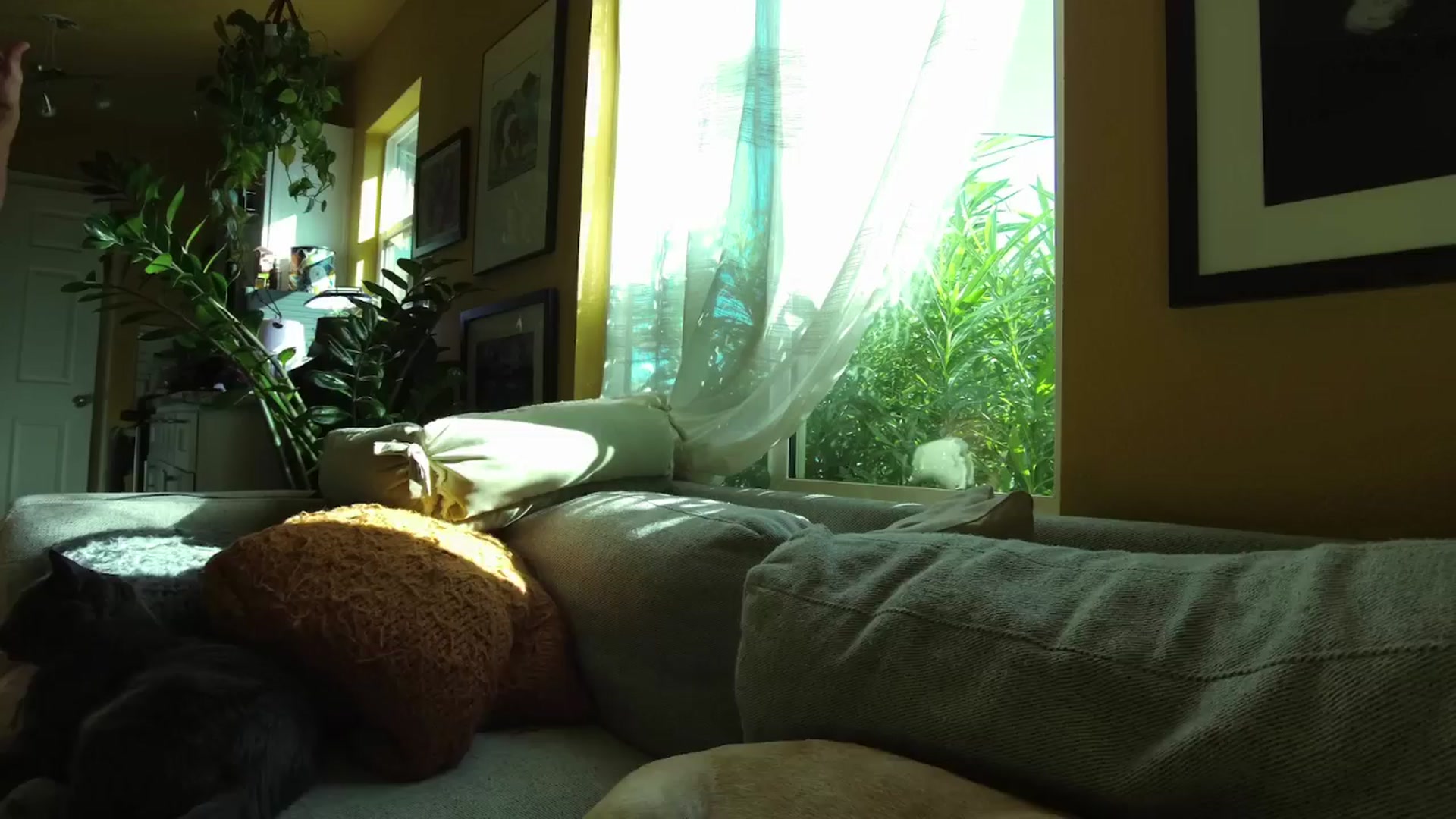 Gallery image thumbnail from KissingHigh's myfreecams stream on, 10/13/2024, 17:28 image 2 of 20