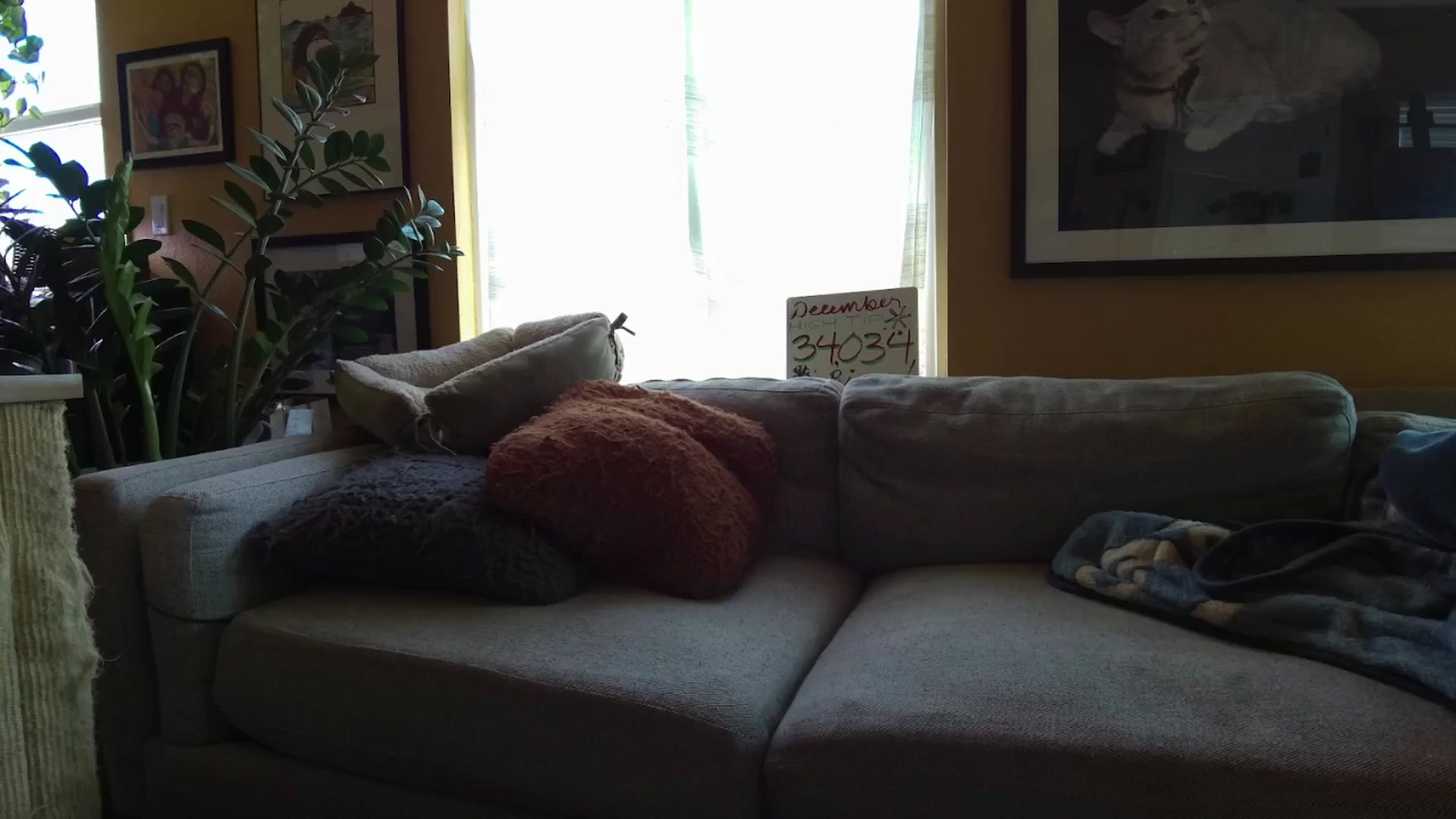 Gallery image thumbnail from KissingHigh's myfreecams stream on, 12/29/2024, 19:44 image 14 of 20