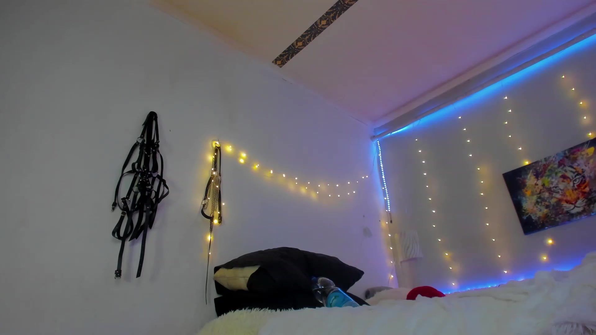 Gallery image thumbnail from Kit_fkn_Kat's myfreecams stream on, 02/12/2023, 20:57 image 17 of 20