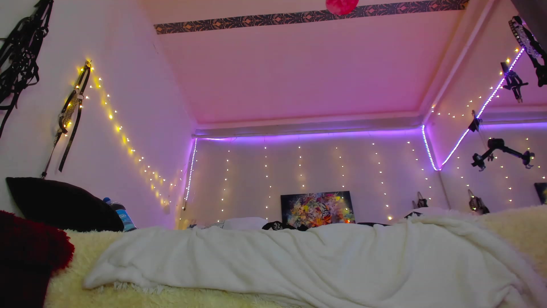 Gallery image thumbnail from Kit_fkn_Kat's myfreecams stream on, 03/12/2023, 19:54 image 14 of 20