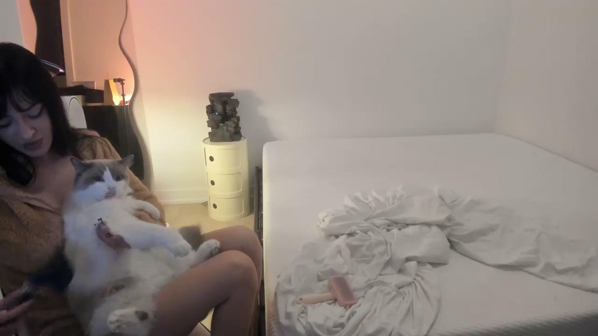 Gallery image thumbnail from Kittenxcam's myfreecams stream on, 11/12/2024, 09:38 image 18 of 20