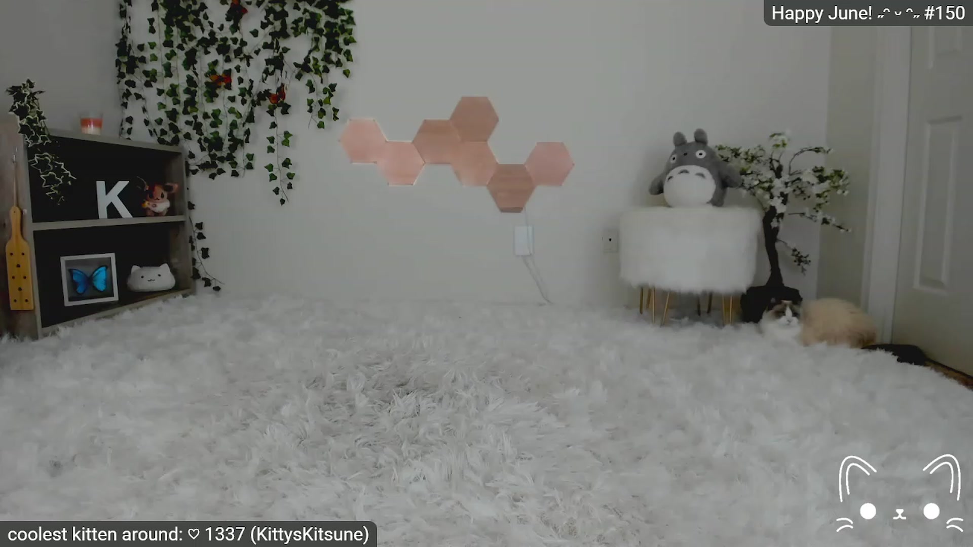 Gallery image thumbnail from Kittenyx's myfreecams stream on, 06/02/2023, 05:34 image 13 of 20