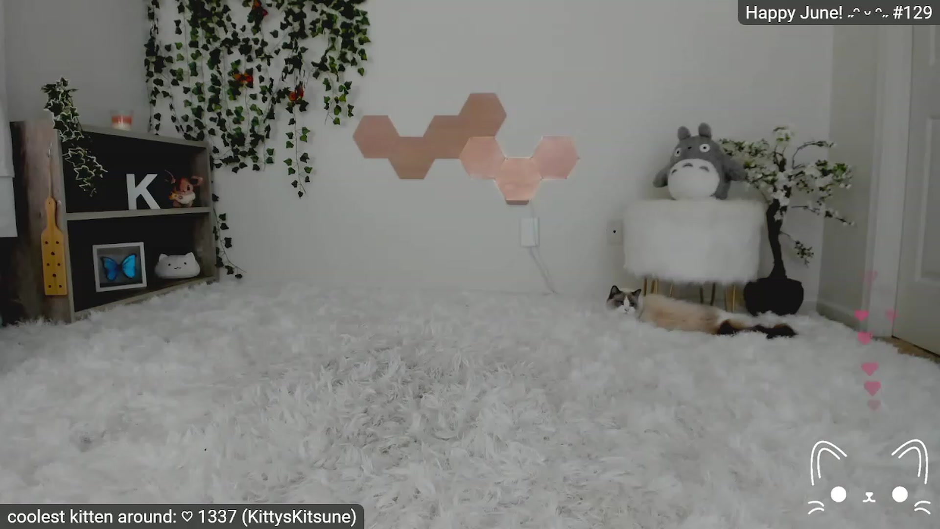 Gallery image thumbnail from Kittenyx's myfreecams stream on, 06/02/2023, 05:34 image 17 of 20