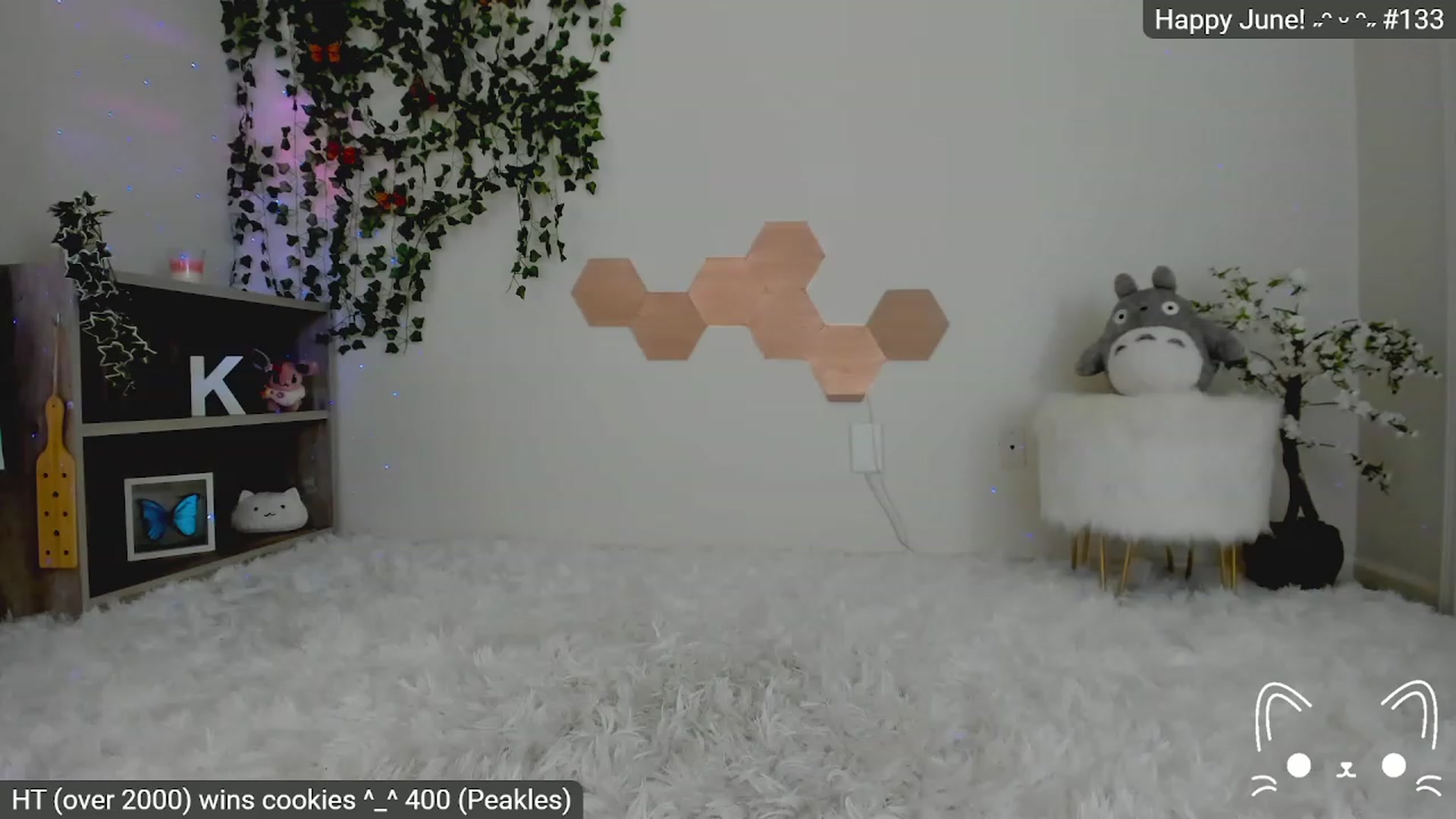 Gallery image thumbnail from Kittenyx's myfreecams stream on, 06/06/2023, 05:00 image 11 of 20