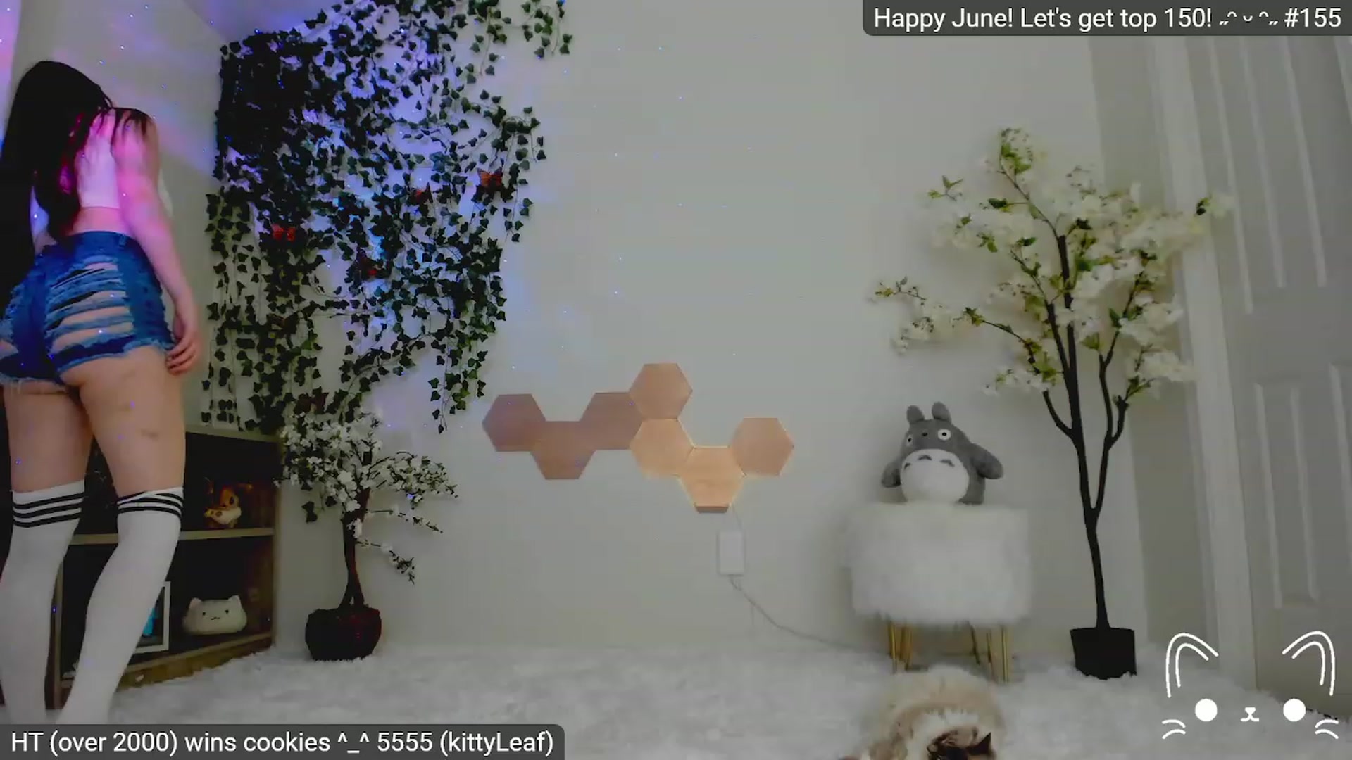 Gallery image thumbnail from Kittenyx's myfreecams stream on, 06/09/2023, 05:29 image 6 of 20