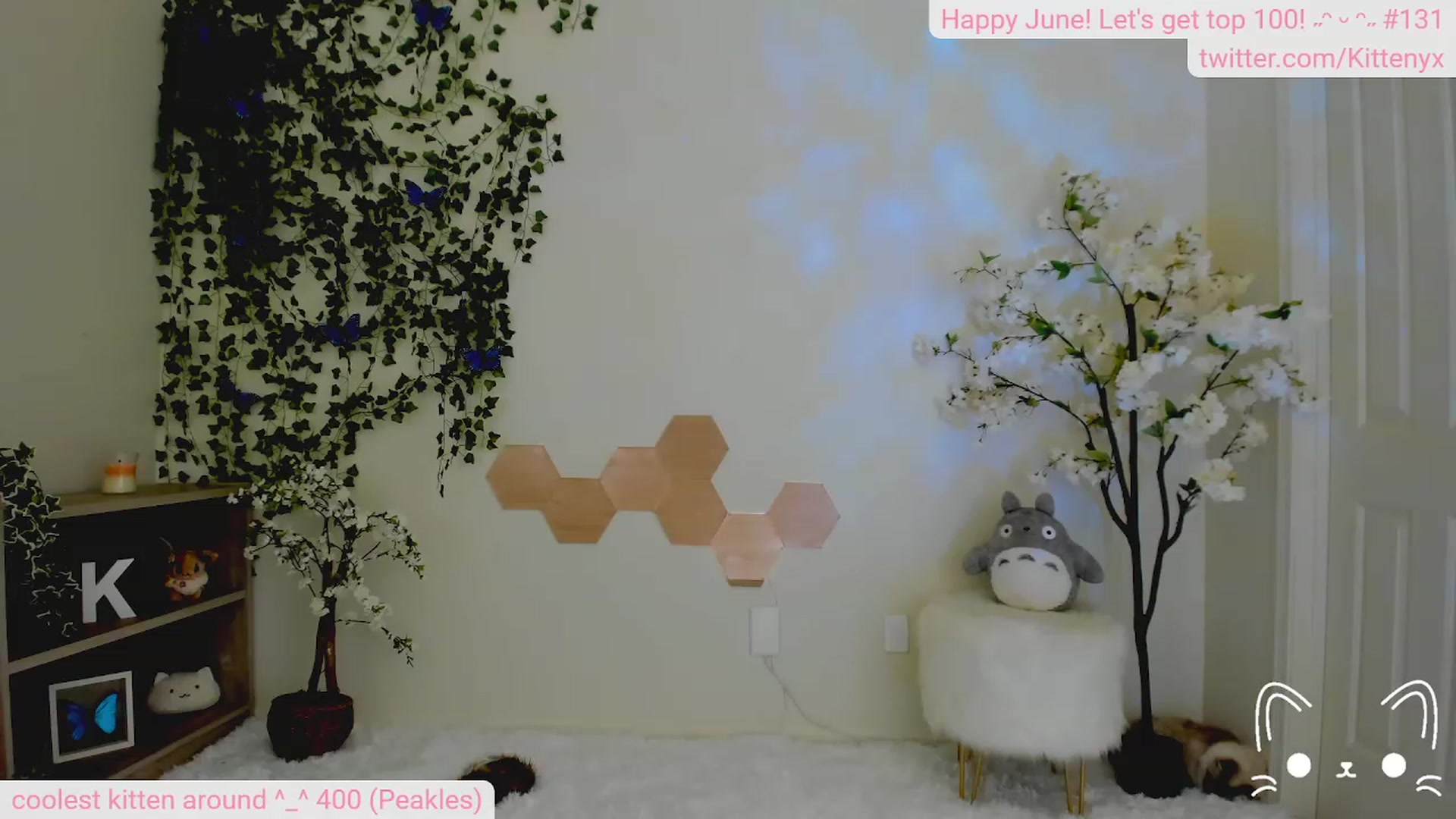 Gallery image thumbnail from Kittenyx's myfreecams stream on, 06/11/2023, 06:01 image 18 of 20