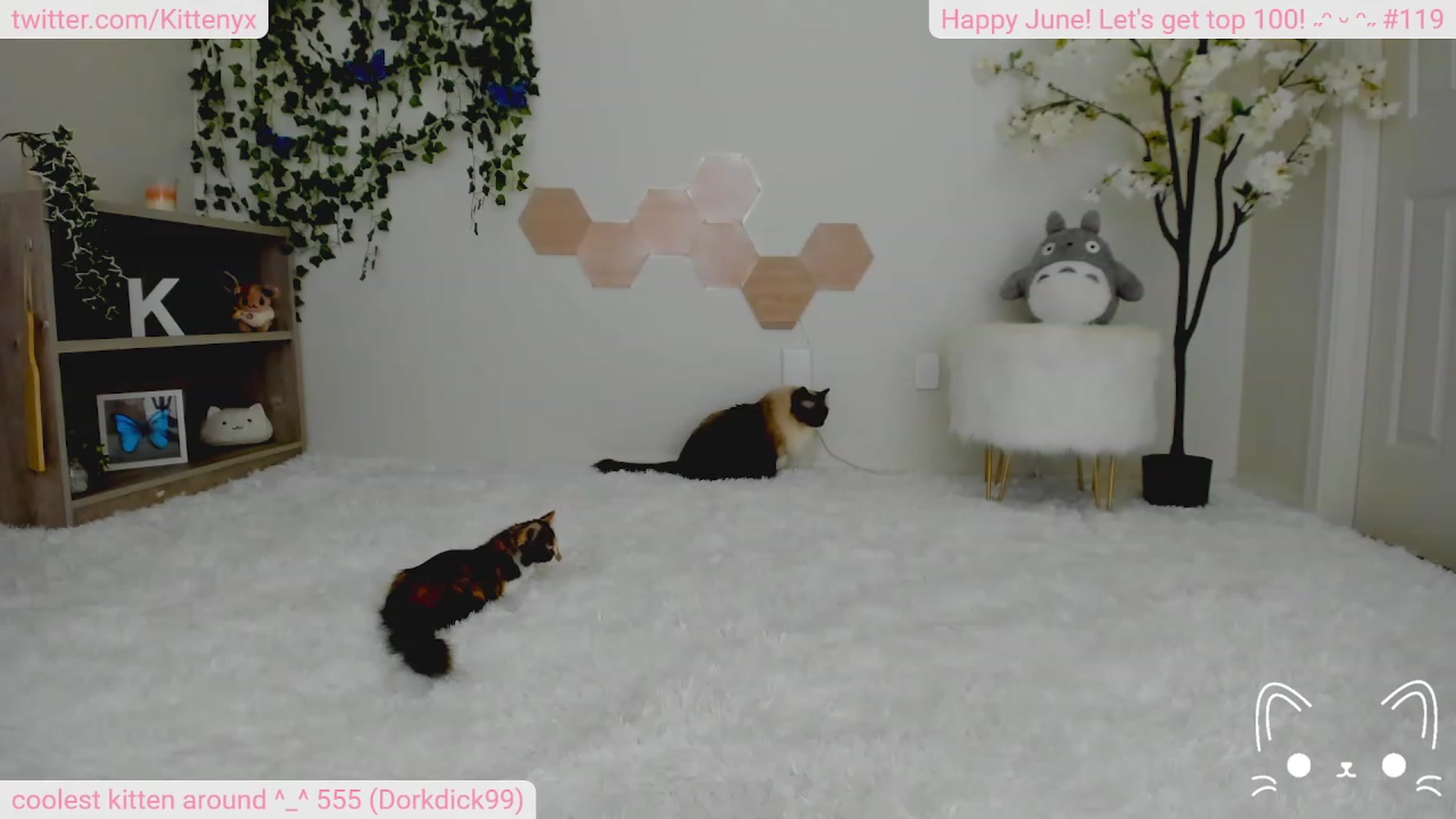 Gallery image thumbnail from Kittenyx's myfreecams stream on, 06/14/2023, 06:11 image 4 of 20