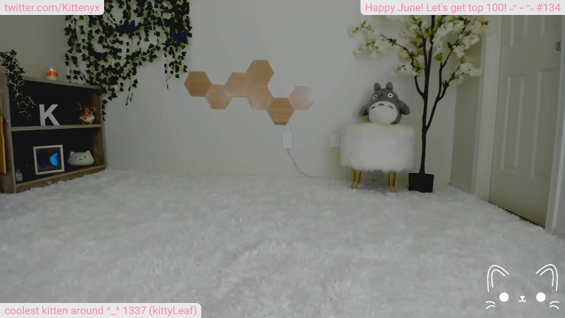 Gallery image thumbnail from Kittenyx's myfreecams stream on, 06/16/2023, 05:29 image 16 of 20