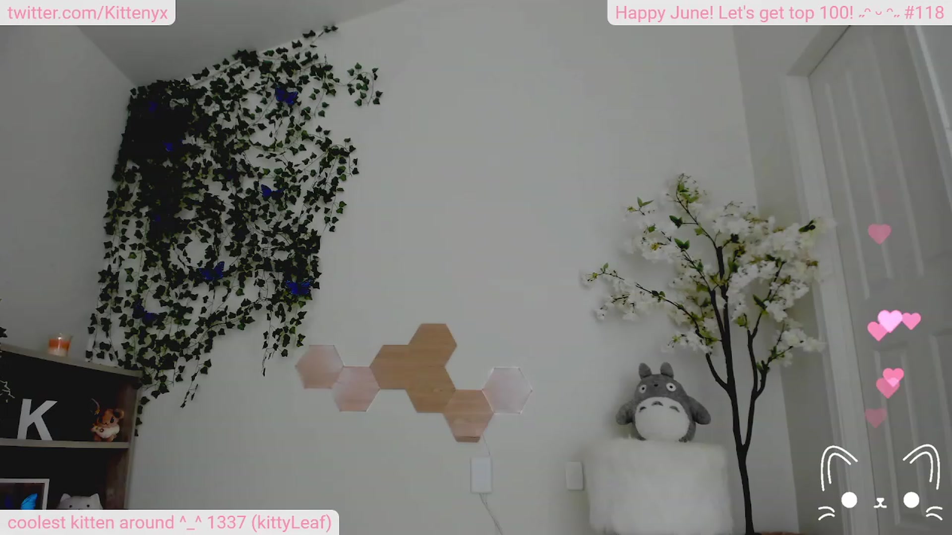Gallery image thumbnail from Kittenyx's myfreecams stream on, 06/16/2023, 06:20 image 7 of 20