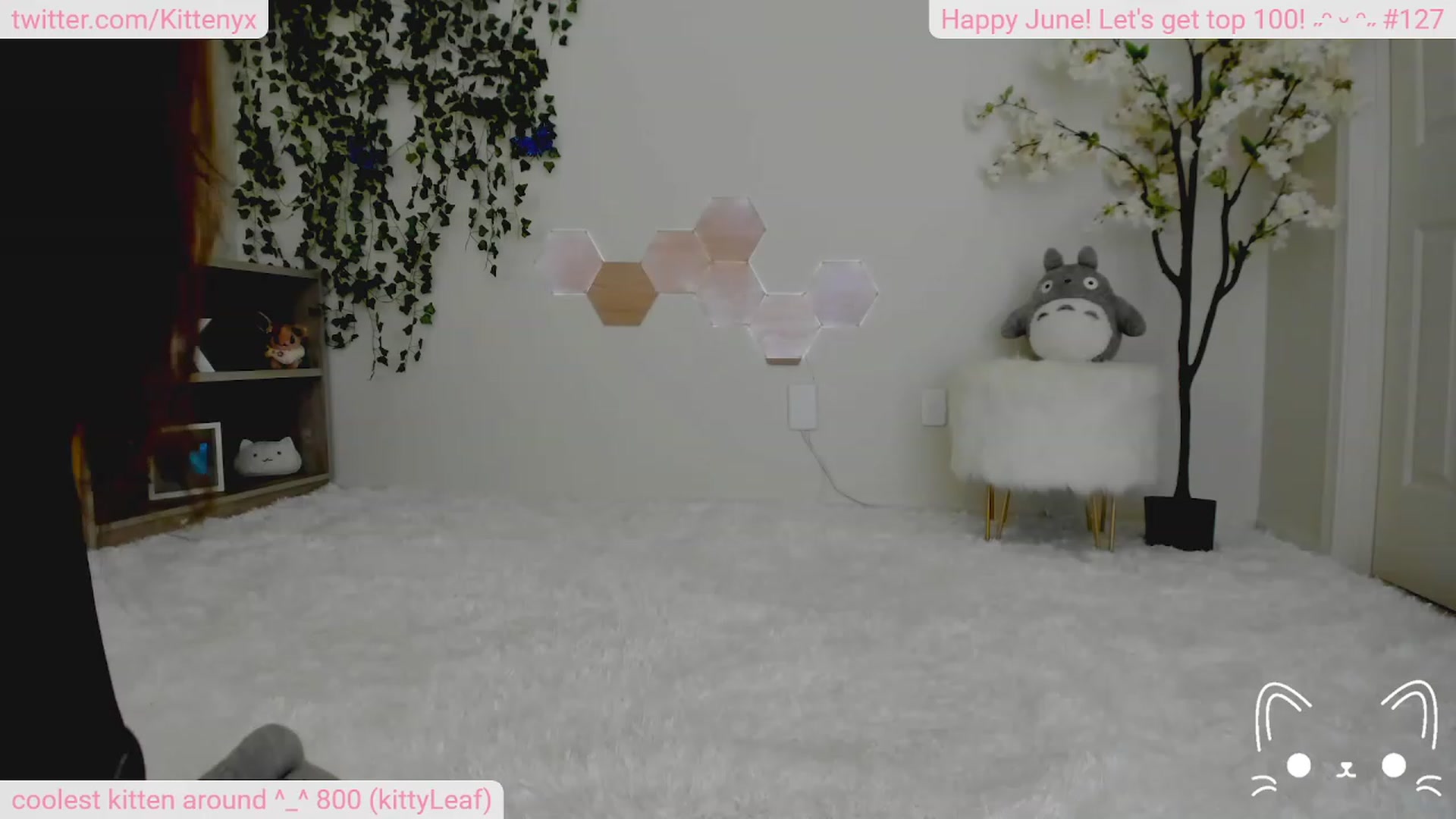 Gallery image thumbnail from Kittenyx's myfreecams stream on, 06/17/2023, 04:42 image 13 of 20