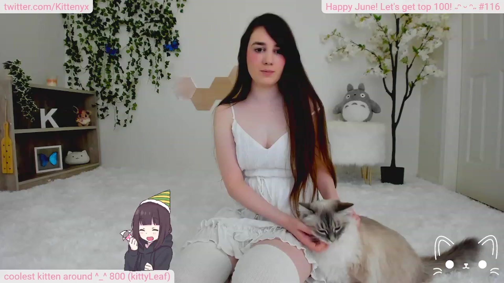 Gallery image thumbnail from Kittenyx's myfreecams stream on, 06/18/2023, 07:08 image 9 of 20