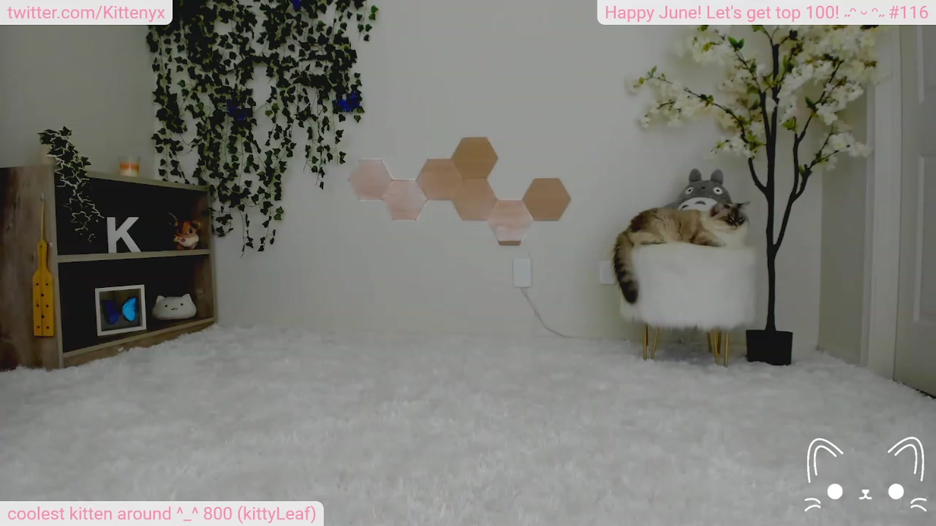 Gallery image thumbnail from Kittenyx's myfreecams stream on, 06/18/2023, 07:08 image 11 of 20