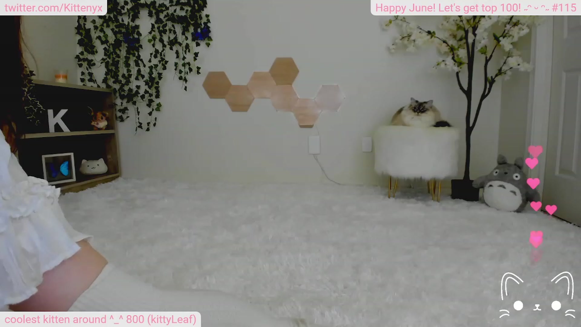 Gallery image thumbnail from Kittenyx's myfreecams stream on, 06/18/2023, 07:08 image 20 of 20