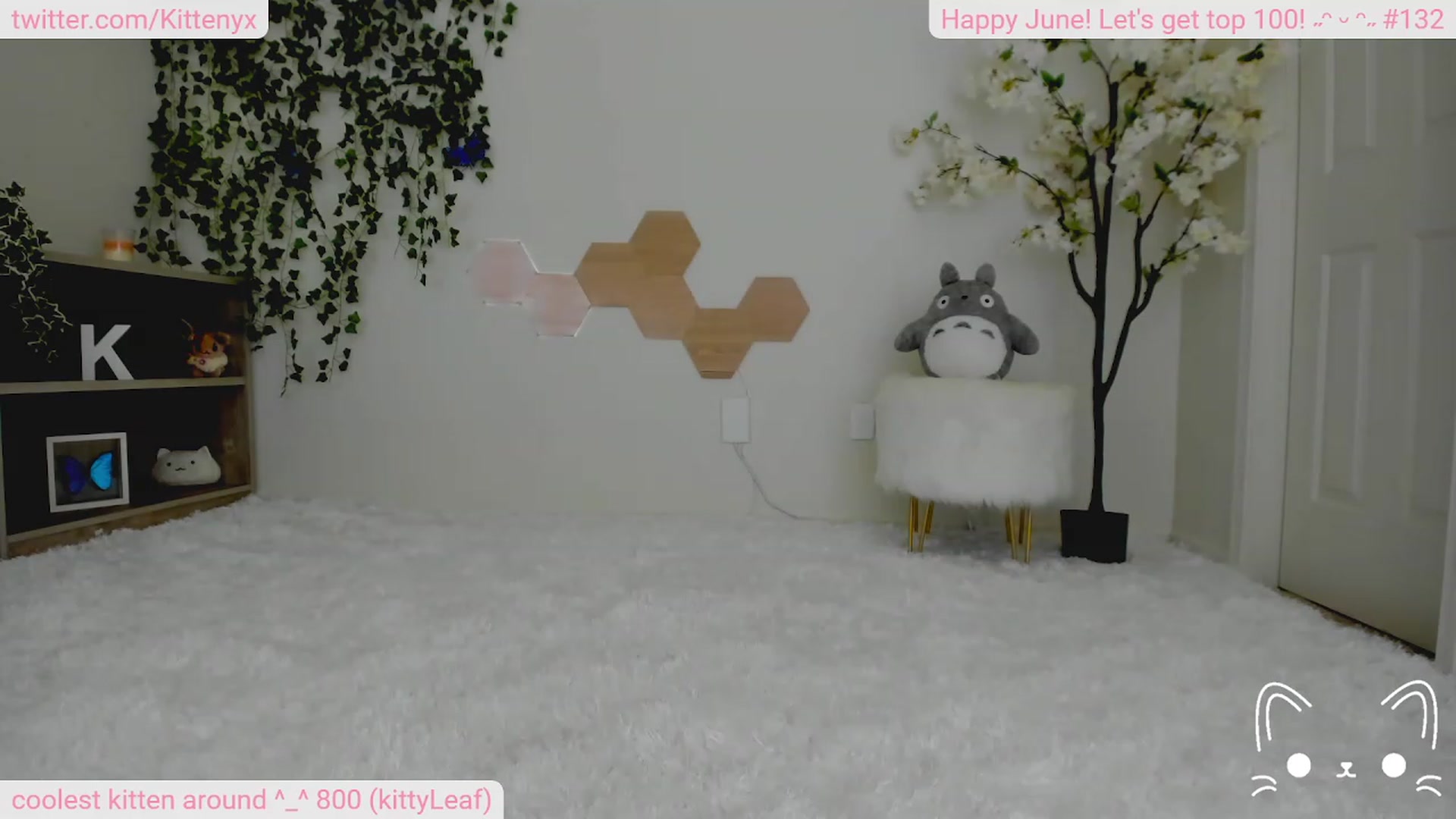 Gallery image thumbnail from Kittenyx's myfreecams stream on, 06/20/2023, 06:01 image 13 of 20