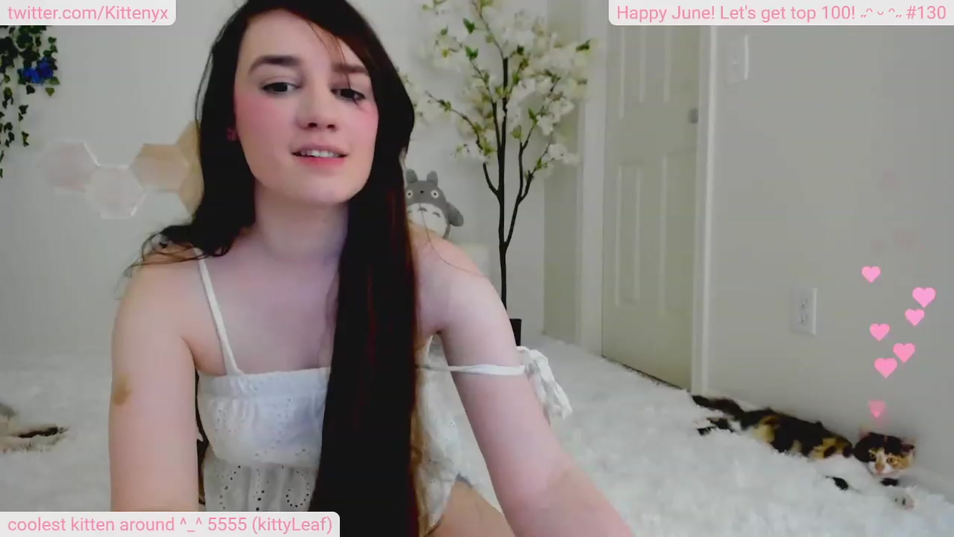 Gallery image thumbnail from Kittenyx's myfreecams stream on, 06/24/2023, 04:49 image 12 of 20