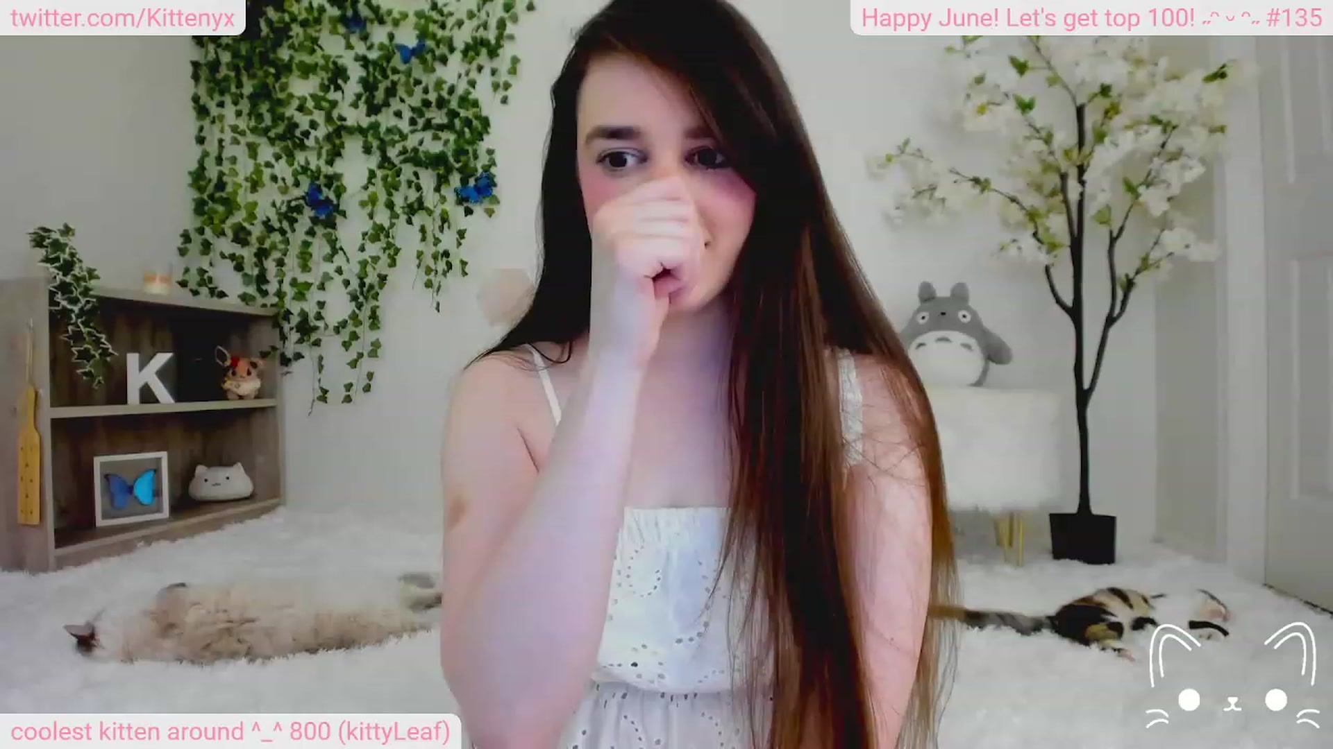 Gallery image thumbnail from Kittenyx's myfreecams stream on, 06/24/2023, 04:49 image 4 of 20