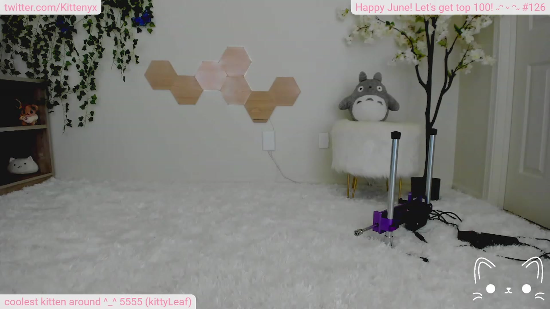Gallery image thumbnail from Kittenyx's myfreecams stream on, 06/24/2023, 05:37 image 12 of 20