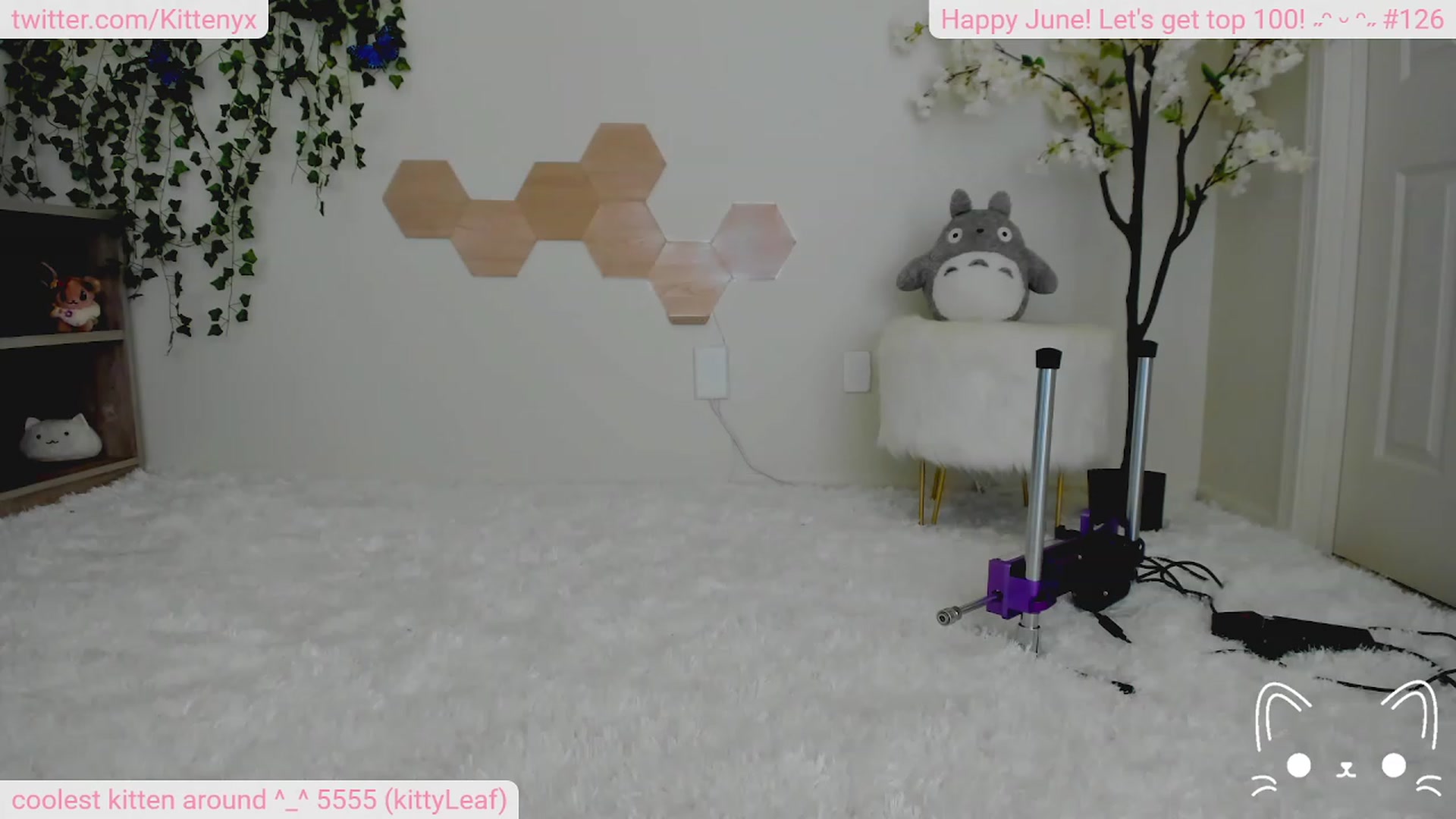 Gallery image thumbnail from Kittenyx's myfreecams stream on, 06/24/2023, 05:37 image 10 of 20