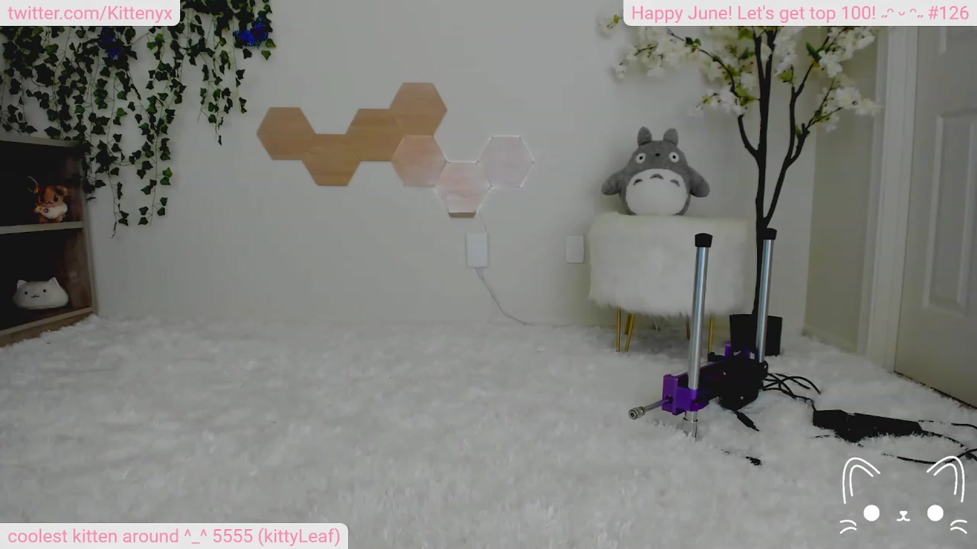 Gallery image thumbnail from Kittenyx's myfreecams stream on, 06/24/2023, 05:37 image 11 of 20
