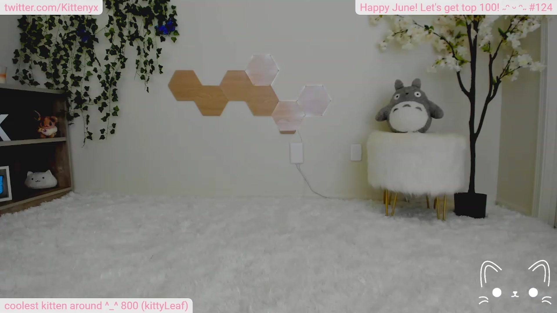 Gallery image thumbnail from Kittenyx's myfreecams stream on, 06/25/2023, 06:36 image 13 of 20