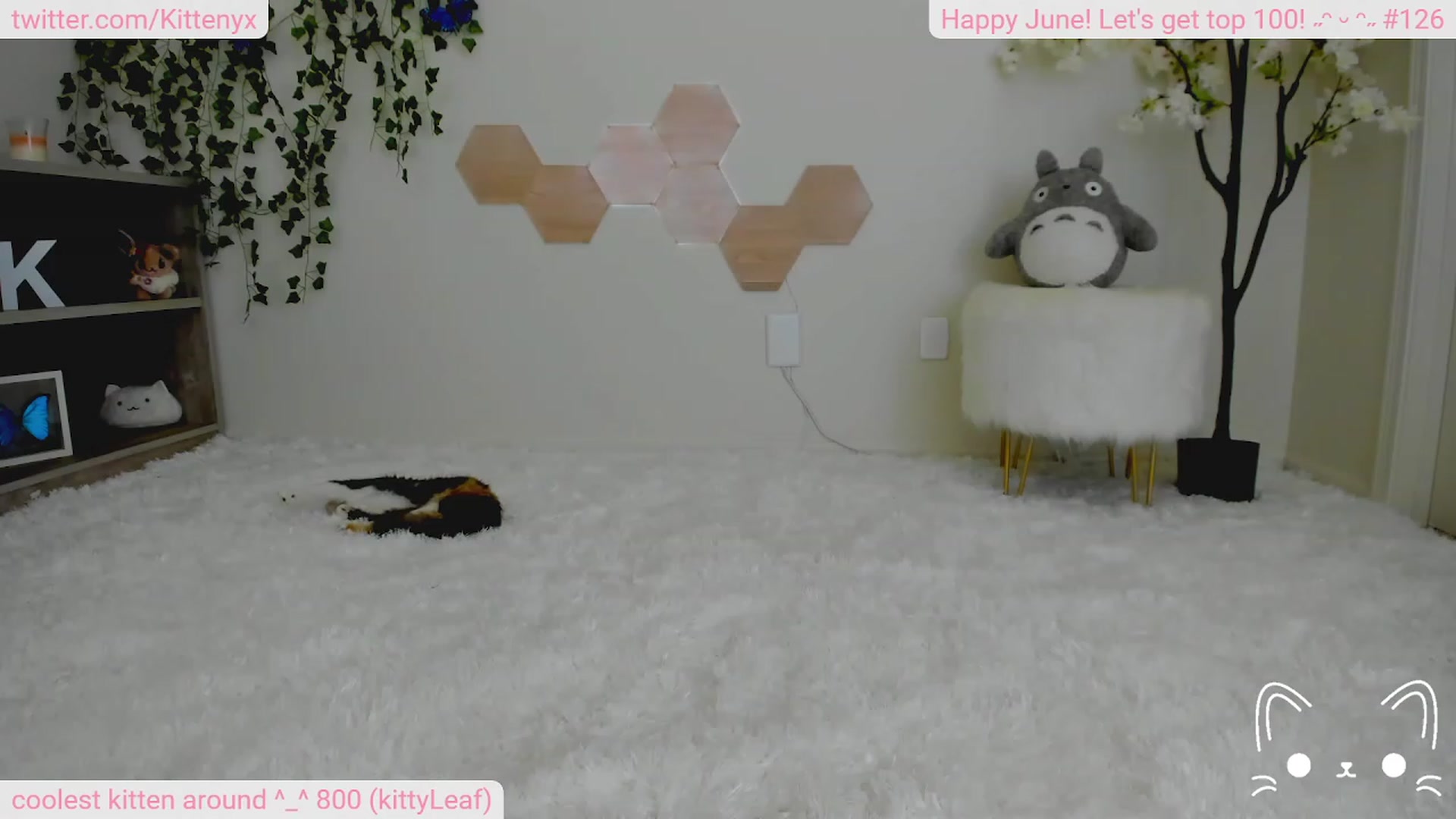 Gallery image thumbnail from Kittenyx's myfreecams stream on, 06/25/2023, 06:36 image 3 of 20