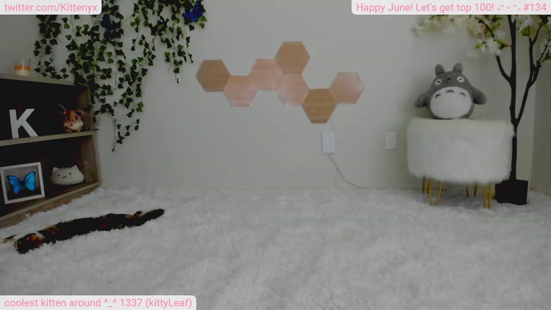 Gallery image thumbnail from Kittenyx's myfreecams stream on, 06/27/2023, 05:42 image 4 of 20