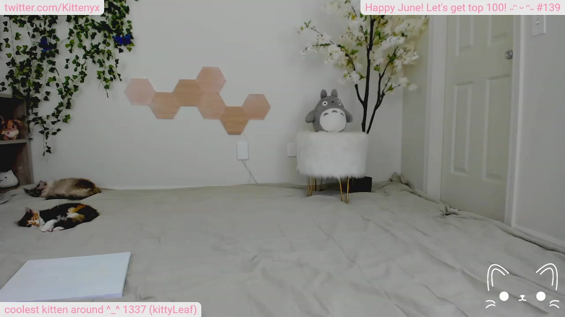 Gallery image thumbnail from Kittenyx's myfreecams stream on, 06/28/2023, 04:33 image 5 of 20