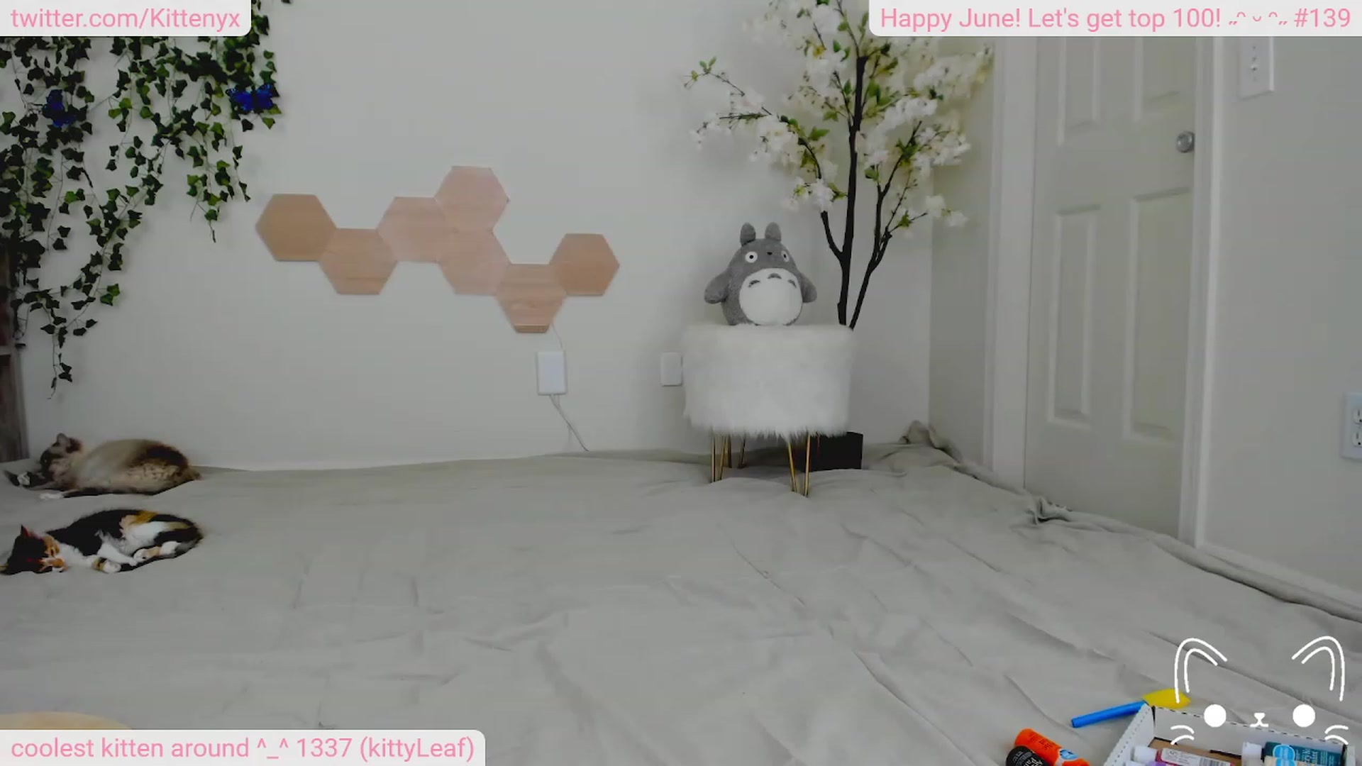 Gallery image thumbnail from Kittenyx's myfreecams stream on, 06/28/2023, 04:33 image 9 of 20