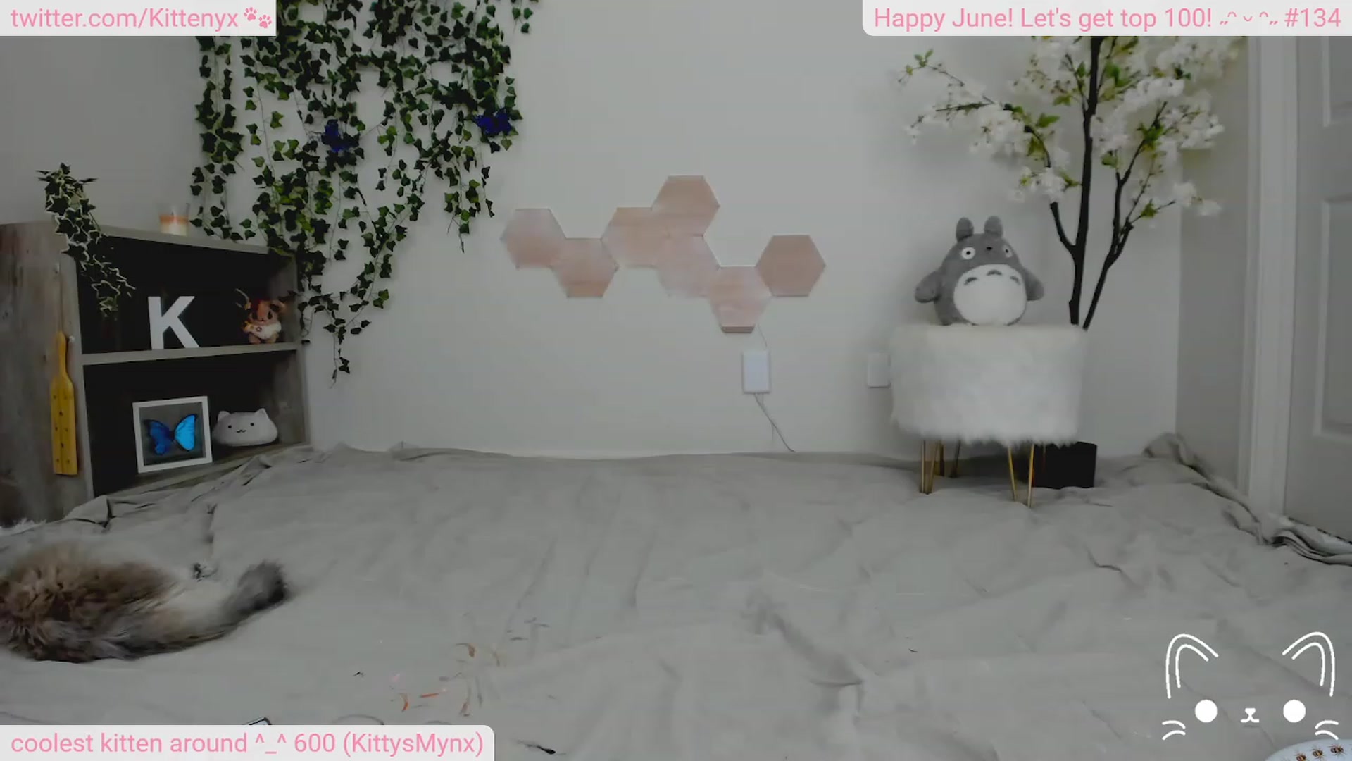 Gallery image thumbnail from Kittenyx's myfreecams stream on, 06/29/2023, 06:25 image 8 of 20
