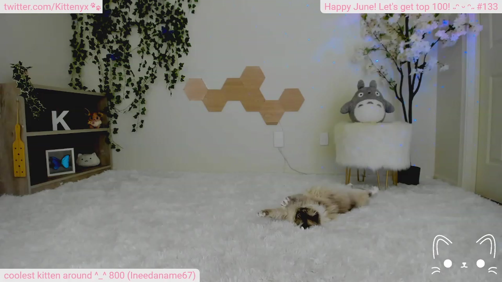 Gallery image thumbnail from Kittenyx's myfreecams stream on, 07/01/2023, 05:17 image 8 of 20